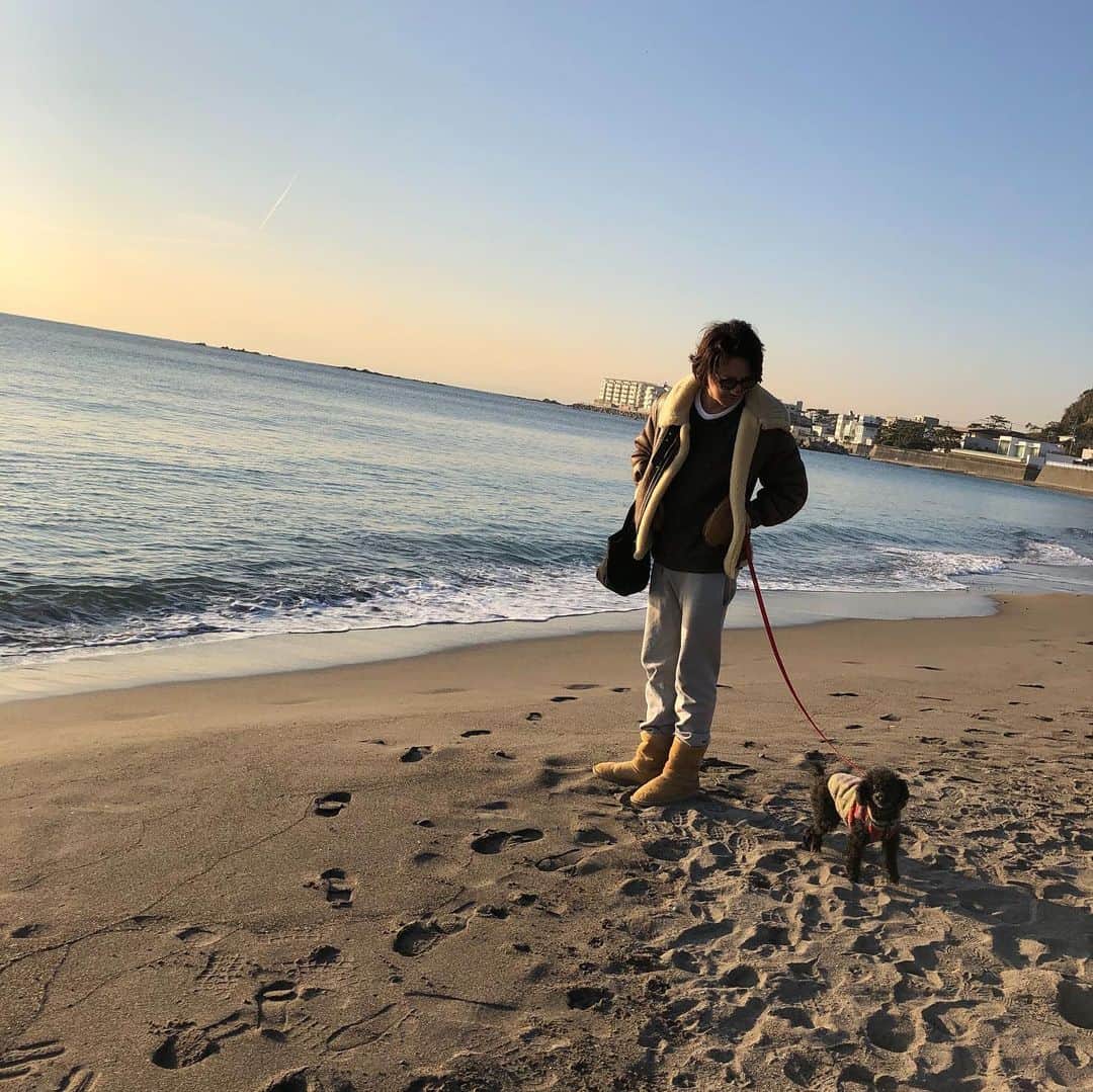 金子昇さんのインスタグラム写真 - (金子昇Instagram)「merry Christmas‼️ みんなはどんなクリスマス🎅だったかな？  #海　 #愛犬 #葉山 #海でクリスマスは初🤶 #一色海岸」12月25日 23時21分 - noboru_kaneko_official