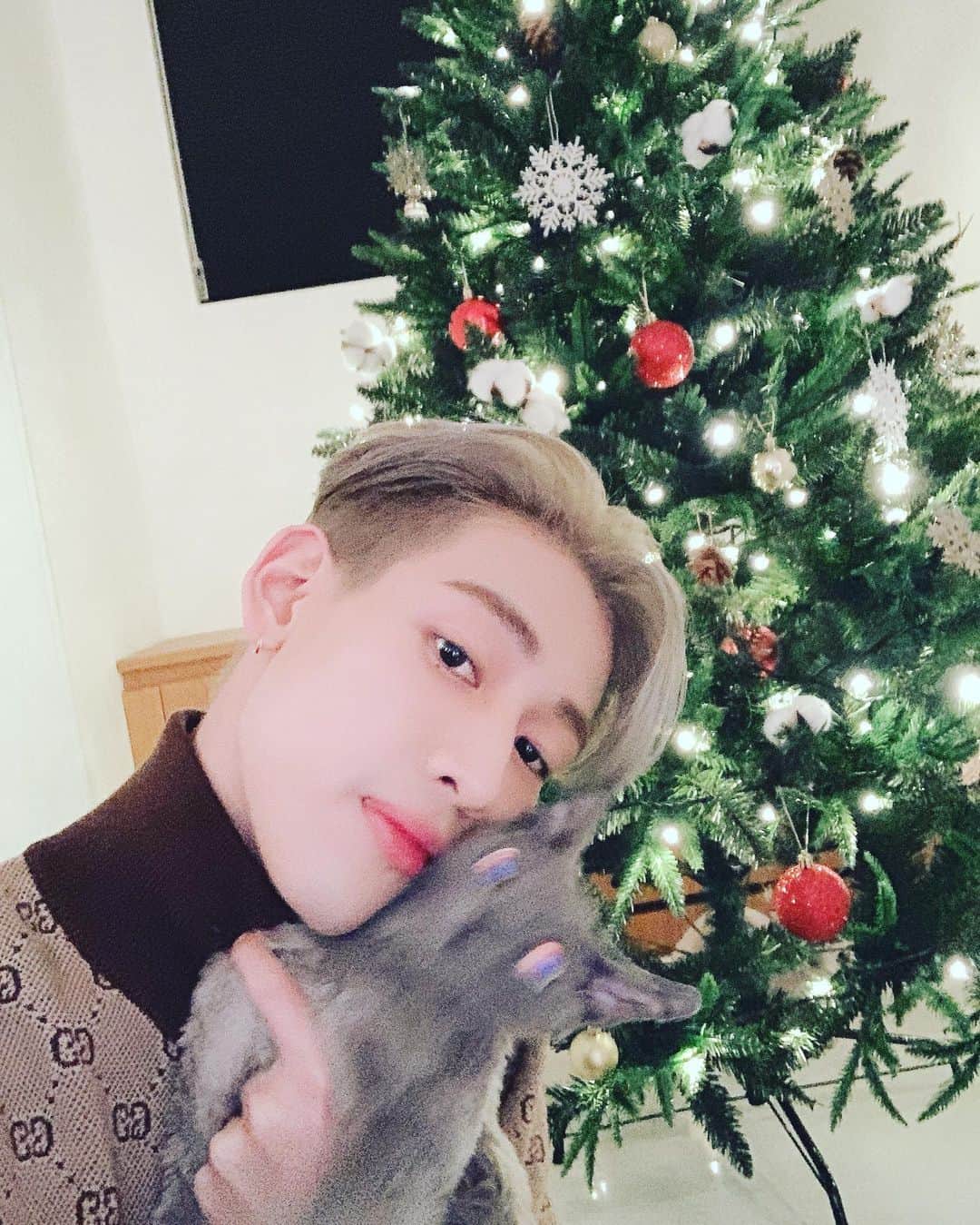 BamBam のインスタグラム：「아가새 여러분 Merry Christmas🎄 오늘 무대 잘 보셨나요? 많이 와주셔서 감사합니다 ㅜㅜ 항상 건강하고 이번 크리스마스도 좋은 시간 보내세요  Merry Christmas IGOT7🎄 I hope you guys have a good time with your family  Love ya!❤️💚 P.S my cat not feeling it 😑」