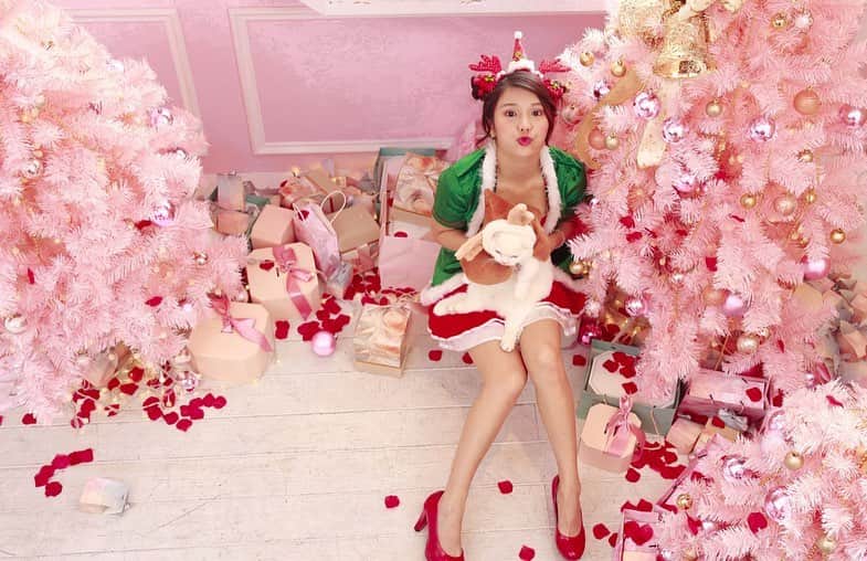 琳妲さんのインスタグラム写真 - (琳妲Instagram)「🎄🐱🎁 粉紅色聖誕樹💕💕💕💕💕」12月25日 23時45分 - linda831212