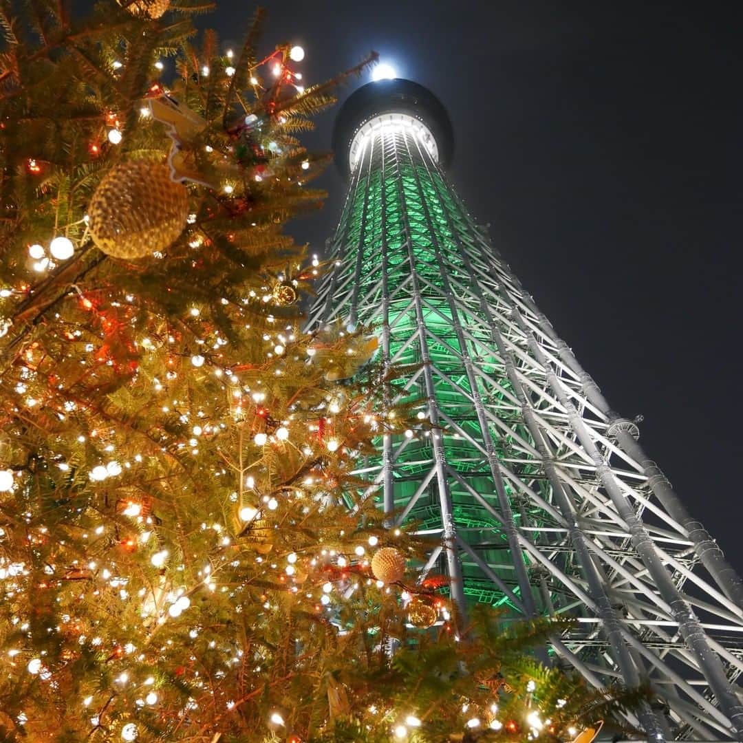 Travel.jp / トラベルjpさんのインスタグラム写真 - (Travel.jp / トラベルjpInstagram)「✈【東京】キャンドルツリー×天然のもみの木のコラボ⁠ .⁠ 「東京スカイツリータウン(R)ドリームクリスマス」初となる⁠ 天然のもみの木のクリスマスツリーが登場！⁠ クリスマスイルミネーションは今日まで。⁠ （一部イルミネーションは2020年3月8日（日）まで）⁠ 【写真/フルリーナ YOC】⁠ .⁠ 詳しい情報は【LINEトラベルjp ドリームクリスマス2019】で検索❤️⁠ .⁠ #LTJ47イルミ #旅行 #旅行好き #旅行好きな人と繋がりたい #トラベラー #女子旅 #女子旅行 #国内旅行 #海外旅行 #インスタ映え #トラベル #トリップ #絶景 #カメラ女子 #カメラ男子 #ダレカニミセタイケシキ #LINEトラベルjp #時短トラベル #東京 #東京イルミ #イルミ #イルミネーション #東京スカイツリー #東京スカイツリータウン #クリスマス」12月25日 15時00分 - travel.jp