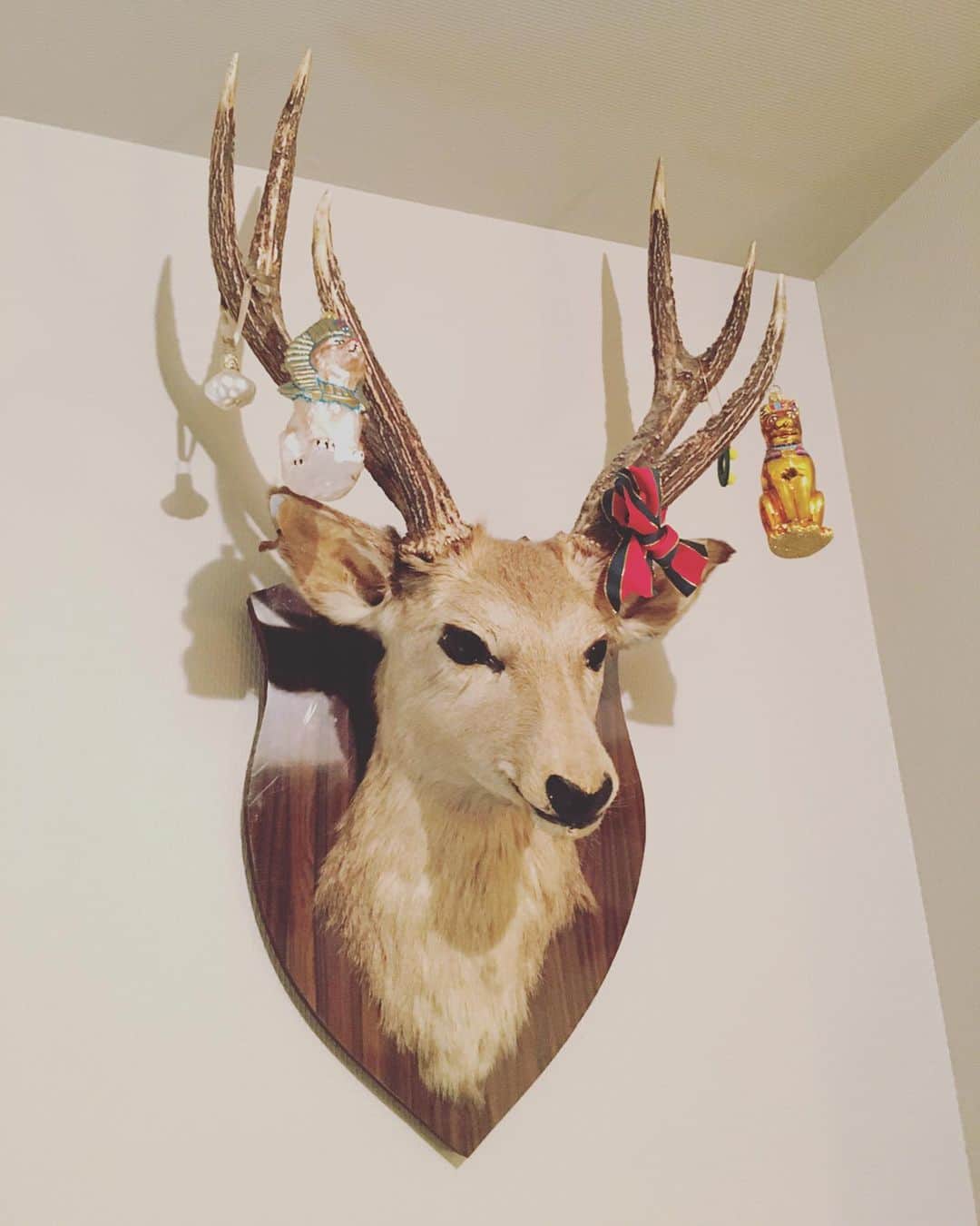 猫沢エミのグルメインスタ