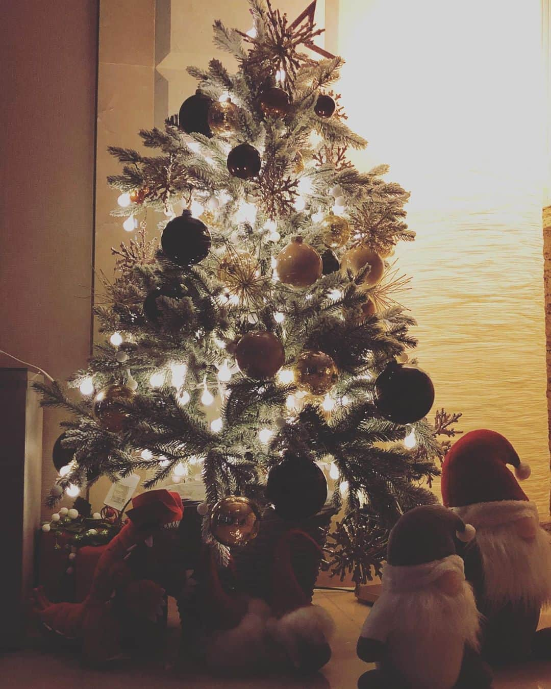 レイ さんのインスタグラム写真 - (レイ Instagram)「Merry Christmas」12月25日 15時37分 - layzhang