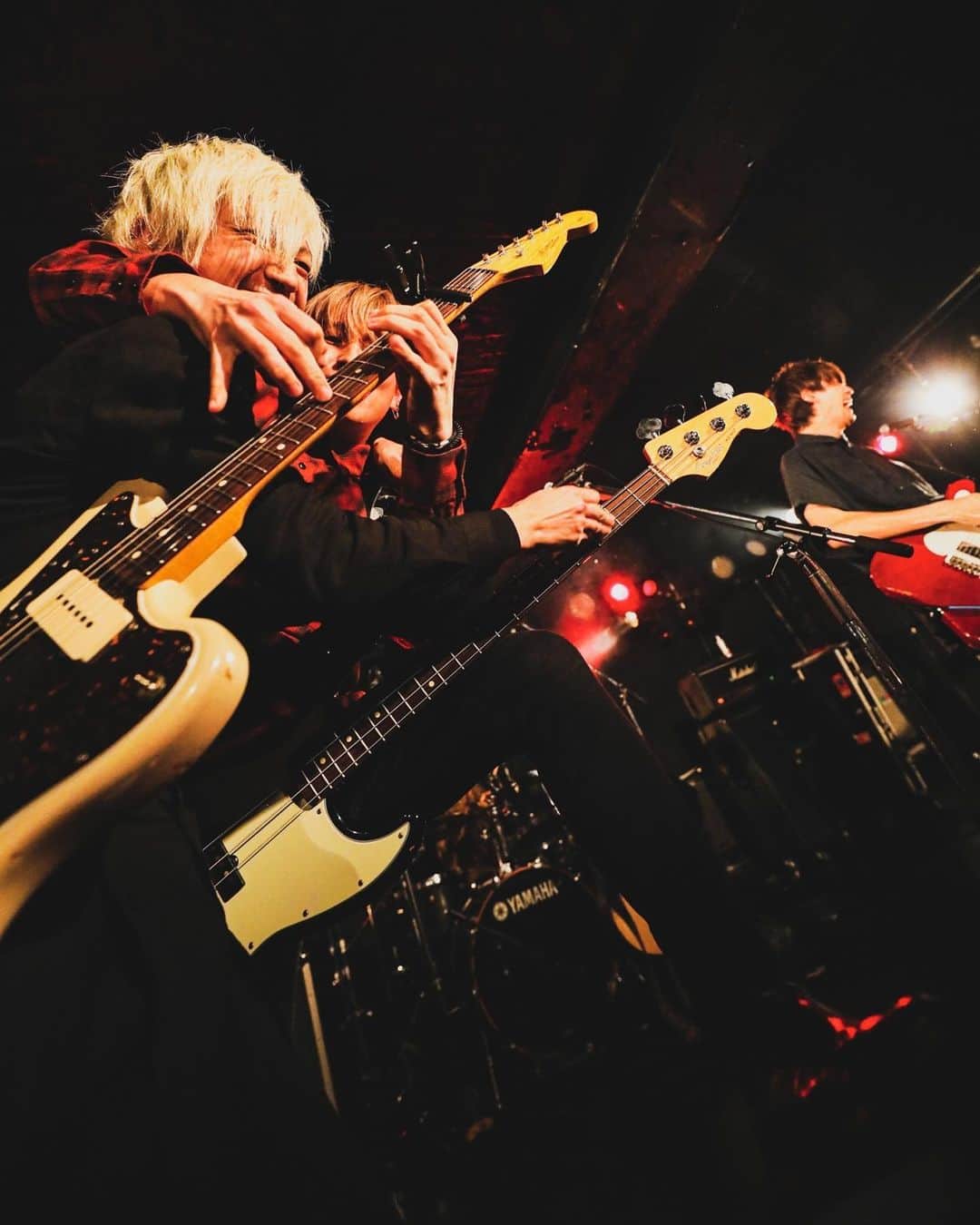 のインスタグラム：「Merry Christmas！  やっぱりクリスマスはタッピングに限りますなぁ。  photo by @t_s_p_1988  #Bentham #そこに鳴る #KOGA #kogarecords #下北沢 #🎅」