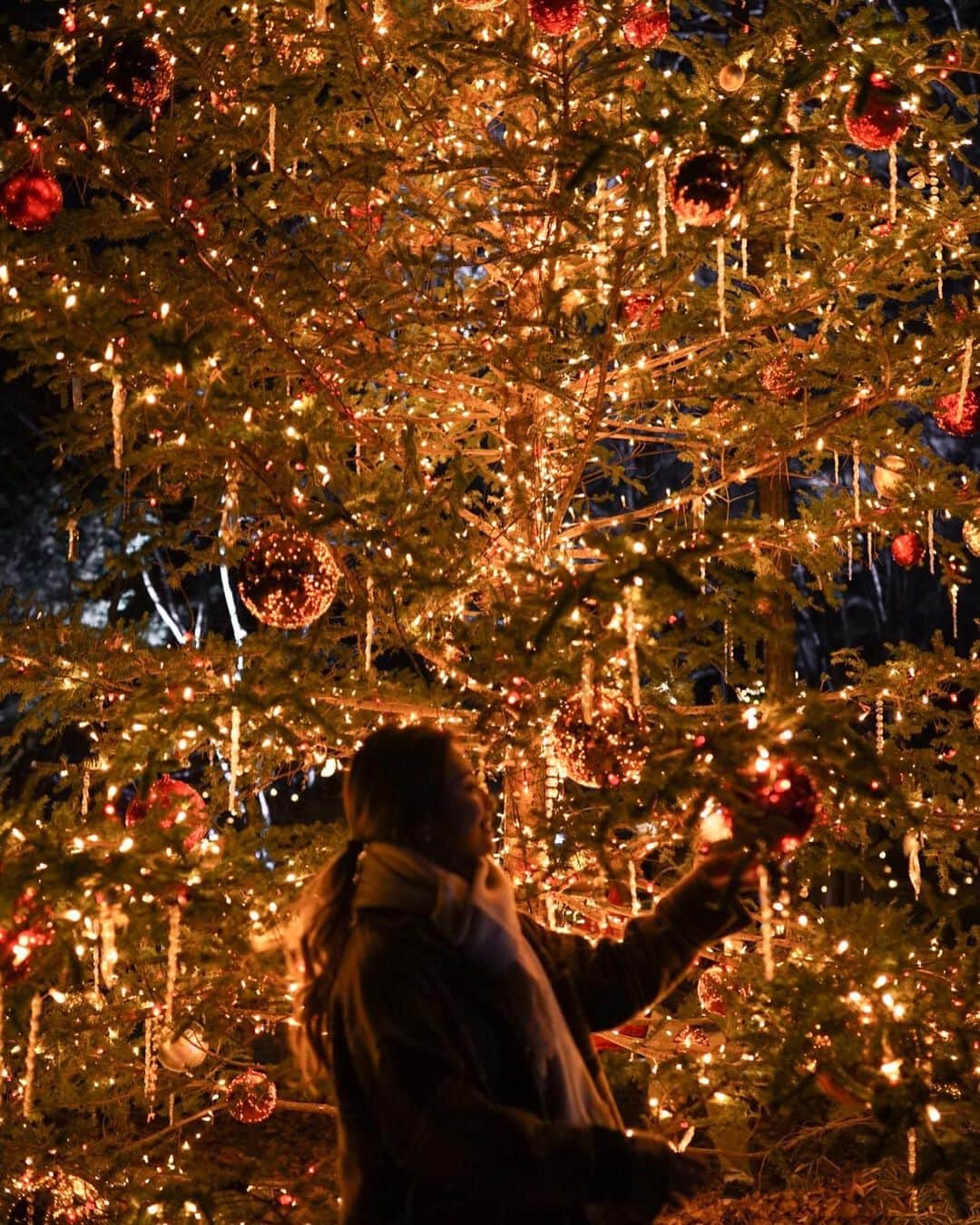 島野ミキさんのインスタグラム写真 - (島野ミキInstagram)「・ ・ Merry Christmas 素敵なクリスマスを…❤︎ ・ ・ #軽井沢#キャンドルナイト#tree#クリスマス#軽井沢旅行#family#love #Christmas#Xmas#MerryChristmas#2019#メリクリ#サンタクロース#santaclaus#present #ambassador#Photo#happy#旧軽井沢#Japan#国内旅行#家族旅行#カップル旅行#るるぶ#アンバサダー#traveler#travel」12月25日 16時08分 - miki_shimano