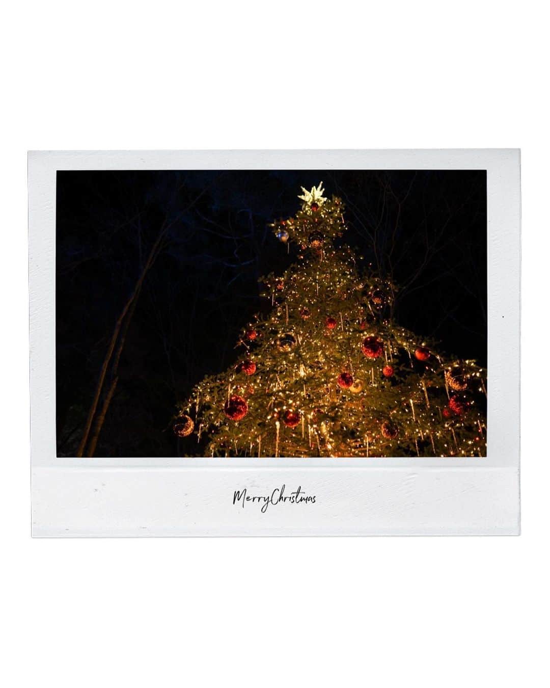 島野ミキさんのインスタグラム写真 - (島野ミキInstagram)「・ ・ Merry Christmas 素敵なクリスマスを…❤︎ ・ ・ #軽井沢#キャンドルナイト#tree#クリスマス#軽井沢旅行#family#love #Christmas#Xmas#MerryChristmas#2019#メリクリ#サンタクロース#santaclaus#present #ambassador#Photo#happy#旧軽井沢#Japan#国内旅行#家族旅行#カップル旅行#るるぶ#アンバサダー#traveler#travel」12月25日 16時08分 - miki_shimano