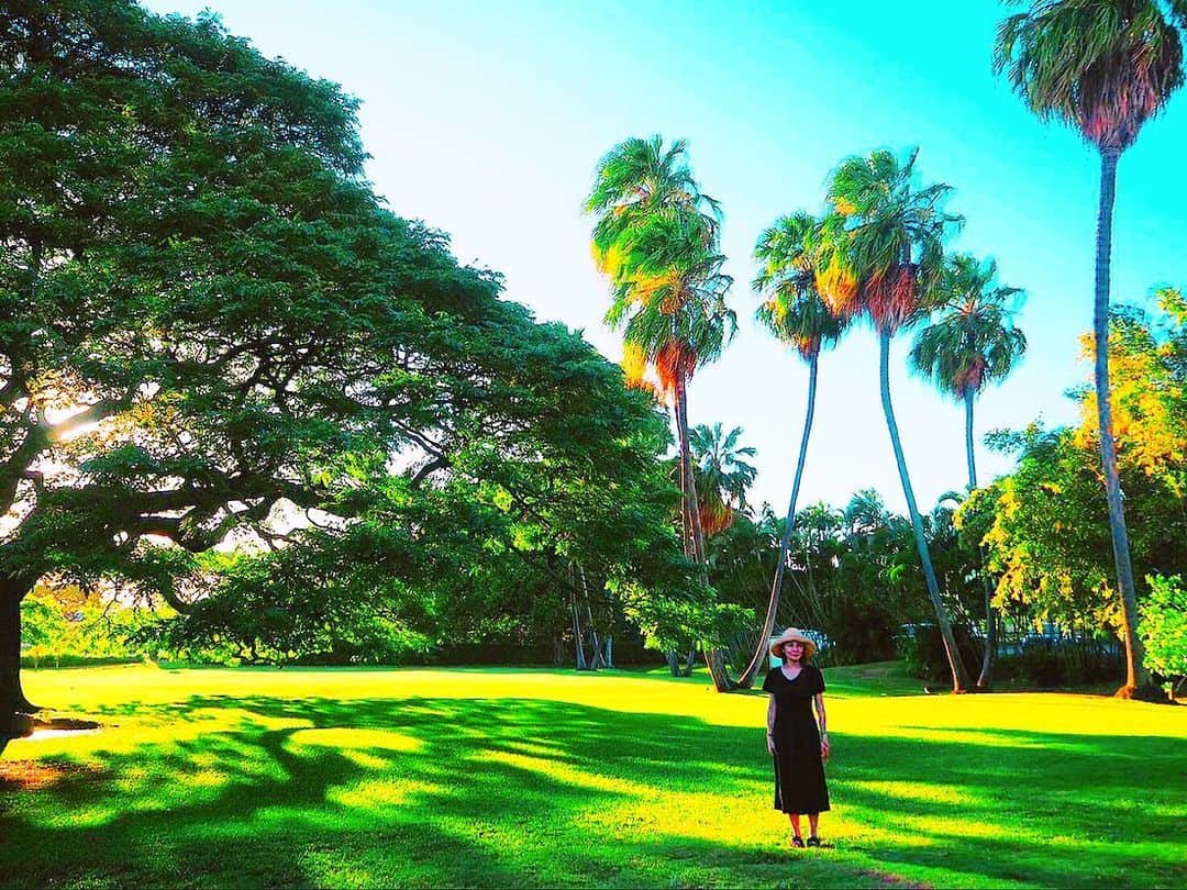 大山恵理乃さんのインスタグラム写真 - (大山恵理乃Instagram)「. #ハワイ #オアフ島 #この木なんの木 . . 子供の頃から観ていて ずっと実際に見たかったモノを見れた嬉しさったらない。 . . #日立の木 #モンキーポット #モアナルアガーデン  #3回目の訪問　 #ここに来るならやっぱり夕方 #貸切状態 ♡ . . #hawaii #moanaluagardens  #하와이 #모아나루아가든」12月25日 16時09分 - erino_ohyama