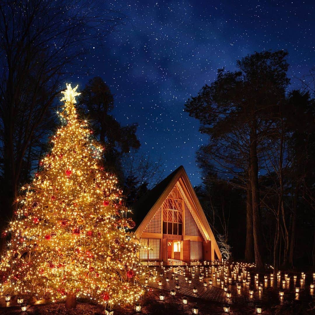 星野リゾートさんのインスタグラム写真 - (星野リゾートInstagram)「・﻿ 🎄星野リゾートのクリスマス🎄﻿ 「軽井沢高原教会﻿」編 ～聖なる森のクリスマスキャンドルナイト～﻿ ﻿ Warm up your heart and soul before the Christmas season--feel the holiday spirit at the candlelit Karuizawa Kogen Church﻿ ﻿ 本日はクリスマス。軽井沢高原教会では無数のランタンキャンドルが森を照らす「星降る森のクリスマス」を開催しています。皆さまが楽しく幸せなひとときを過ごせますように。﻿ ﻿ ﻿ ﻿#HoshinoResorts #星野リゾート #karuizawachurch #軽井沢高原教会 #HotelBlestonCourt #ホテルブレストンコート #Nagano #Karuizawa #長野県 #軽井沢 #軽井沢星野エリア #星野エリア #クリスマス #Chirstmas #Karuizawa #軽井沢旅行 #KaruizawaTrip #JapaneseHotels #travelJapan #ig_Japan #MyTinyAtlas #JapanTravel」12月25日 16時16分 - hoshinoresorts.official