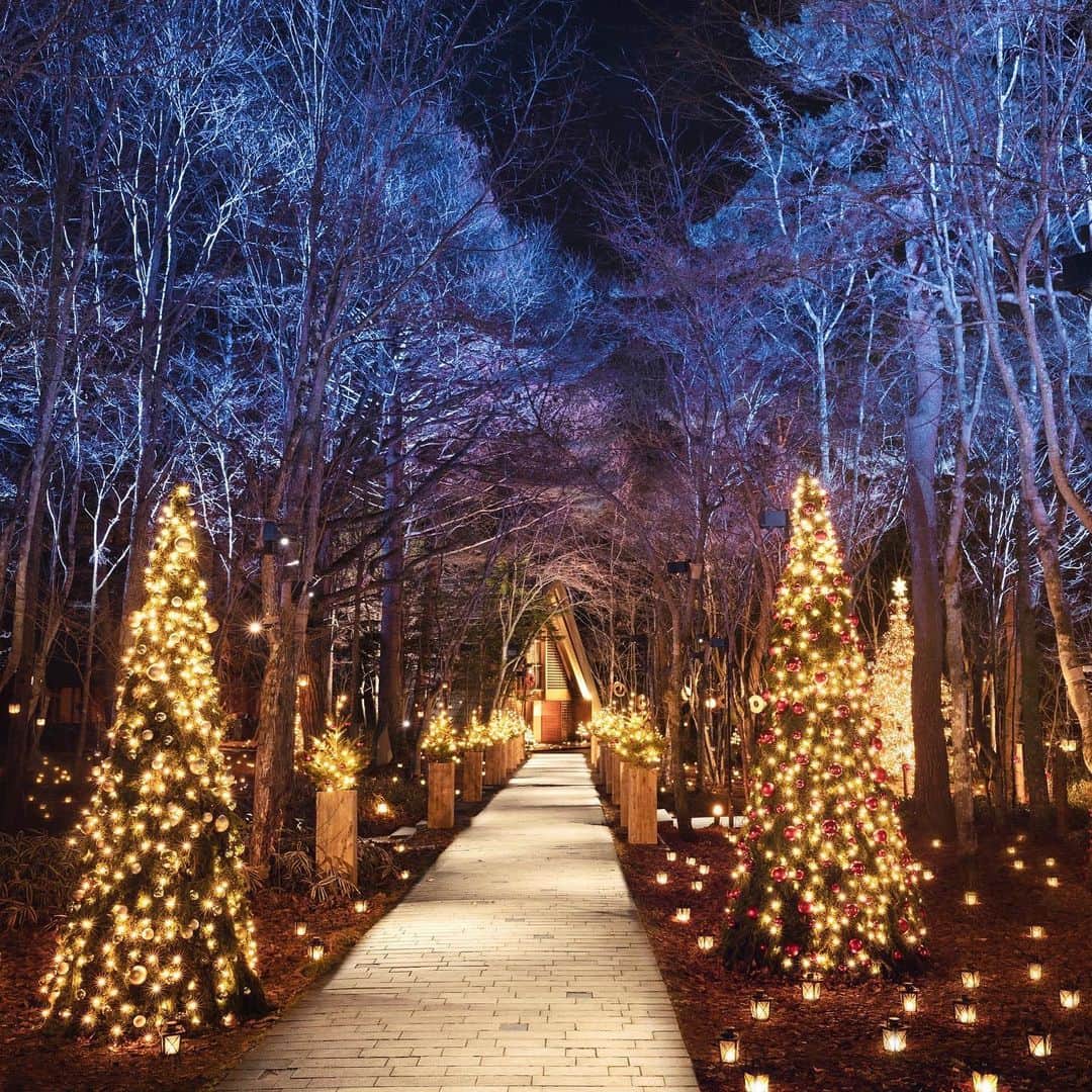 星野リゾートさんのインスタグラム写真 - (星野リゾートInstagram)「・﻿ 🎄星野リゾートのクリスマス🎄﻿ 「軽井沢高原教会﻿」編 ～聖なる森のクリスマスキャンドルナイト～﻿ ﻿ Warm up your heart and soul before the Christmas season--feel the holiday spirit at the candlelit Karuizawa Kogen Church﻿ ﻿ 本日はクリスマス。軽井沢高原教会では無数のランタンキャンドルが森を照らす「星降る森のクリスマス」を開催しています。皆さまが楽しく幸せなひとときを過ごせますように。﻿ ﻿ ﻿ ﻿#HoshinoResorts #星野リゾート #karuizawachurch #軽井沢高原教会 #HotelBlestonCourt #ホテルブレストンコート #Nagano #Karuizawa #長野県 #軽井沢 #軽井沢星野エリア #星野エリア #クリスマス #Chirstmas #Karuizawa #軽井沢旅行 #KaruizawaTrip #JapaneseHotels #travelJapan #ig_Japan #MyTinyAtlas #JapanTravel」12月25日 16時16分 - hoshinoresorts.official