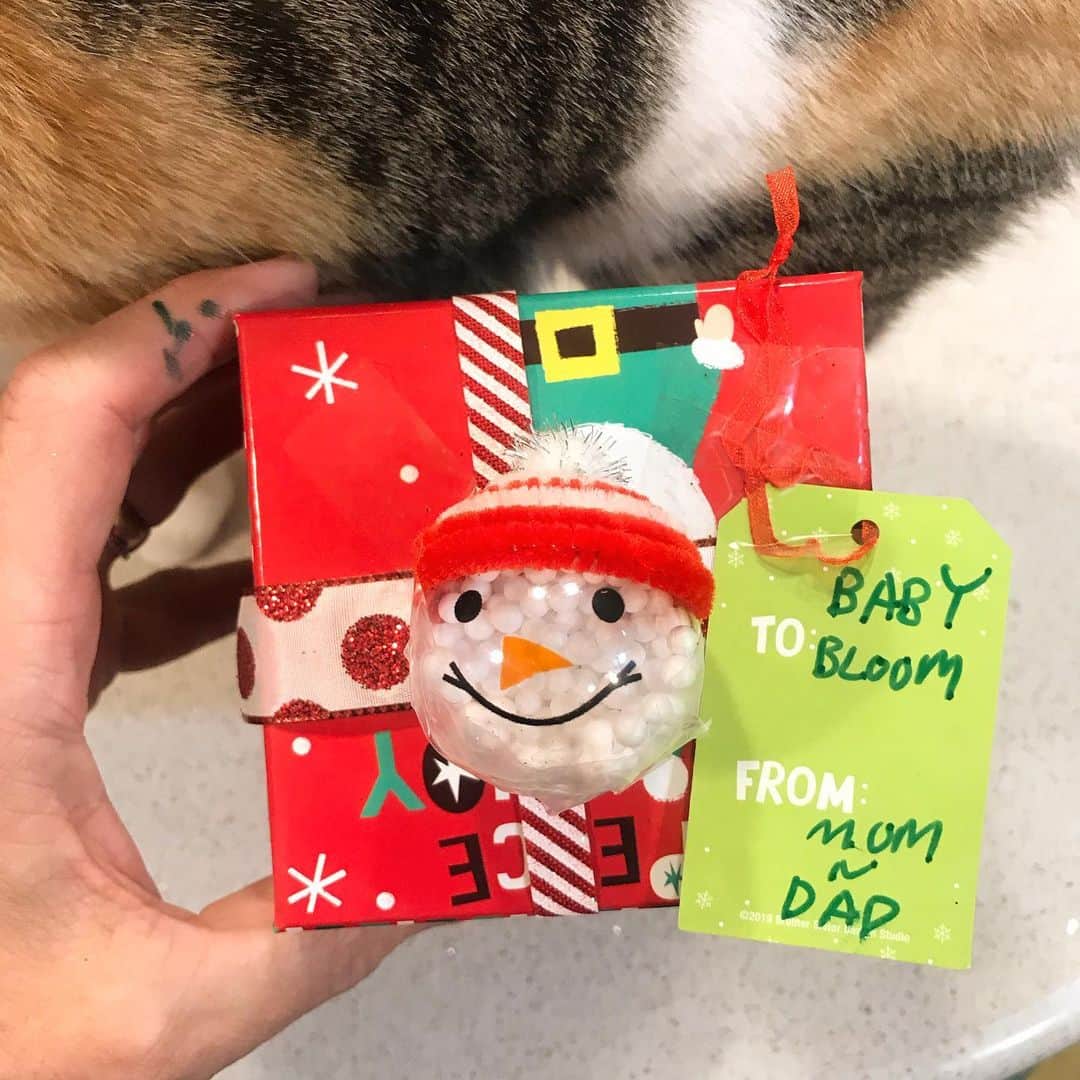 ウェイン・コインさんのインスタグラム写真 - (ウェイン・コインInstagram)「.... just wrapped Baby Blooms first Christmas present....」12月25日 16時31分 - waynecoyne5