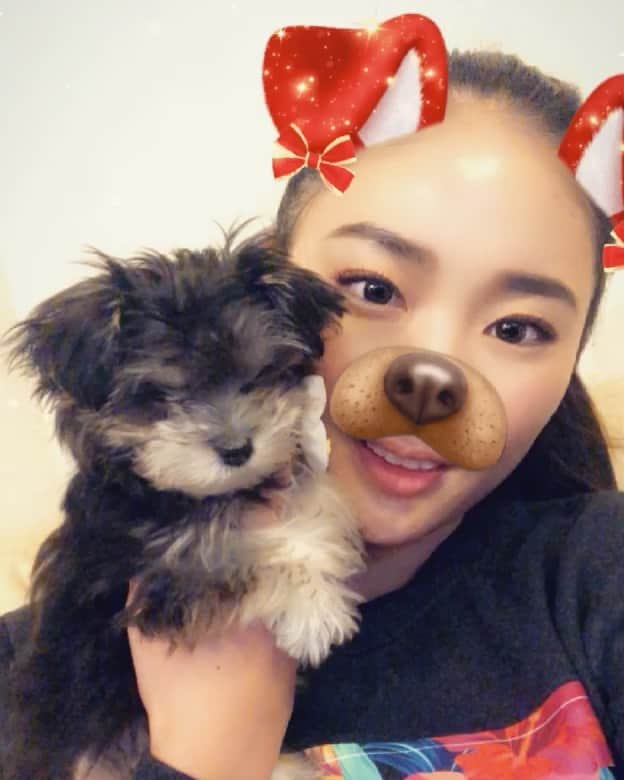 のインスタグラム：「Merry Christmas ❤️🎅🎄 I don't need any Christmas present this year. Because the best Christmas present is having met you 🐶💐 @clara.8sep  #めりくり #クリスマス #christmas #Xmas #🎁 #🎄#🎅」