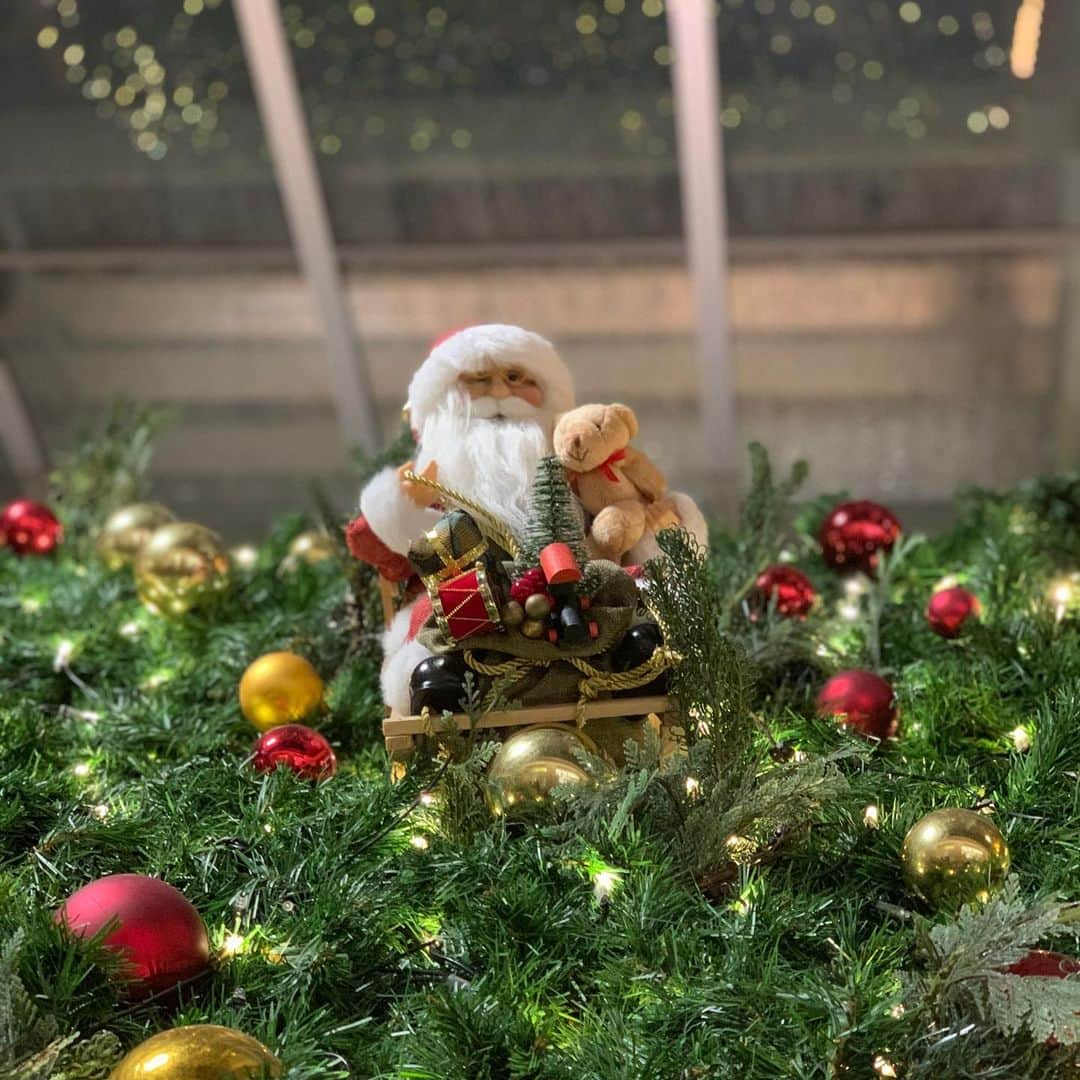 福西崇史さんのインスタグラム写真 - (福西崇史Instagram)「. Merry Christmas🎅🎄🤶 . 素敵な1日に。。。 . #メリークリスマス #merrychristmas #サンタ #ポートレートサンタ #instagood #instaphoto」12月25日 17時49分 - takashi_fukunishi