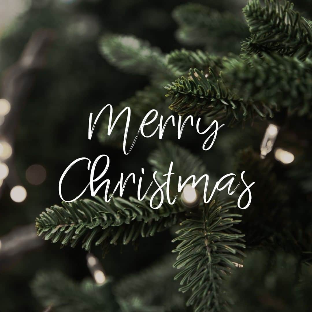 フィオレッリさんのインスタグラム写真 - (フィオレッリInstagram)「Wishing you all a wonderful Christmas with your loved ones ✨ Love, Fiorelli x」12月25日 18時01分 - fiorelli_bags