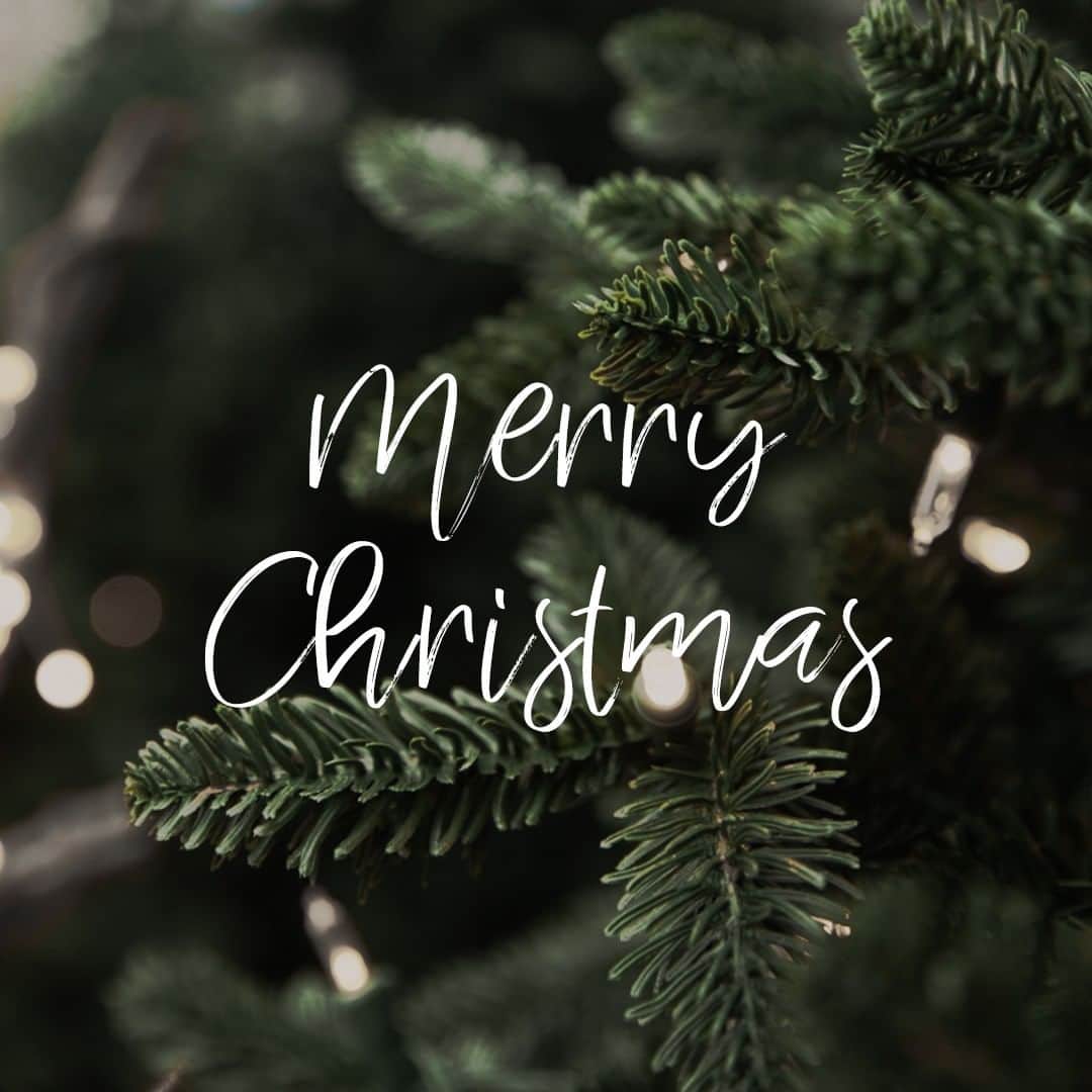 のインスタグラム：「Wishing you all a wonderful Christmas with your loved ones ✨ Love, Fiorelli x」