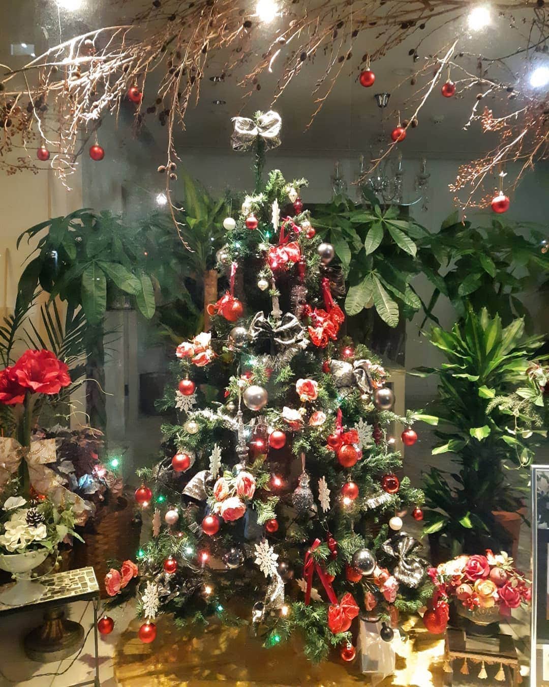 黒坂真美さんのインスタグラム写真 - (黒坂真美Instagram)「. Tokyo Christmas..🖤 . みなさま素敵なクリスマスをお過ごしくださいね♡♡ . . #黒坂真美 #kurosakamami  #クリスマス #東京 #銀座 #日本 #merrychristmas #2019 #tokyo #ginza #japan #love #🎅#🎄#🎁 #♥️ #🇯🇵 🖤🖤🖤」12月25日 18時13分 - mamikurosaka_official