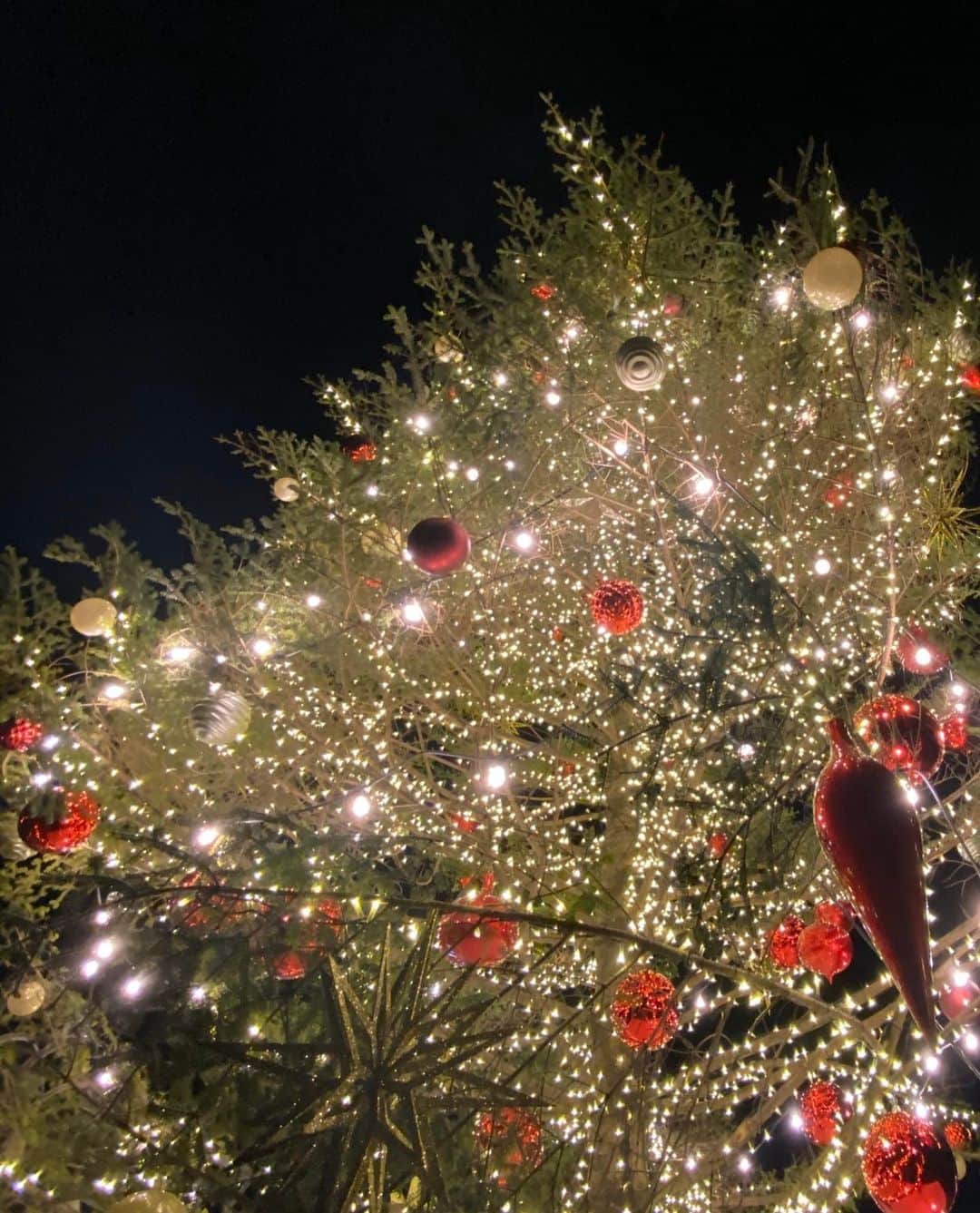 氷川きよしさんのインスタグラム写真 - (氷川きよしInstagram)「クリスマスがめぐるたび これからも毎日を  特別な日にしよう  クリスマスが終わっても 何気ない日常を 大切にずっと生きてゆこう 「クリスマスがめぐるたび」より  by kii  #氷川きよし #hikawakiyoshi #merrychristmas #クリスマスがめぐるたび  #cocoa #milk #love #キヨラー」12月25日 18時27分 - hikawa_kiyoshi_official