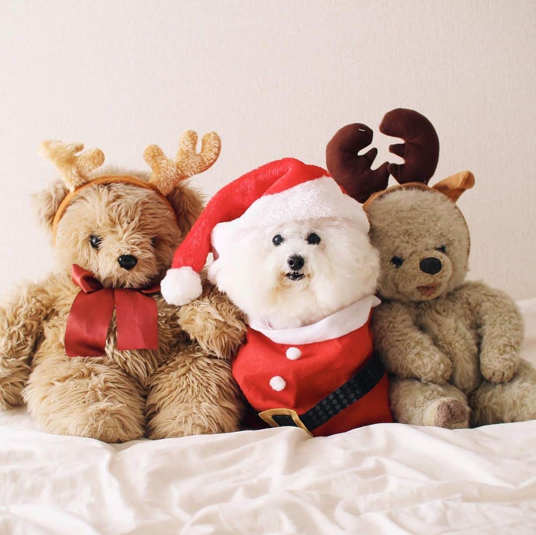 ゆうのインスタグラム：「. . メリークリスマス🎄🎅 Merry Christmas . . . #いつかの写真 #使い回しで失礼します . . .」