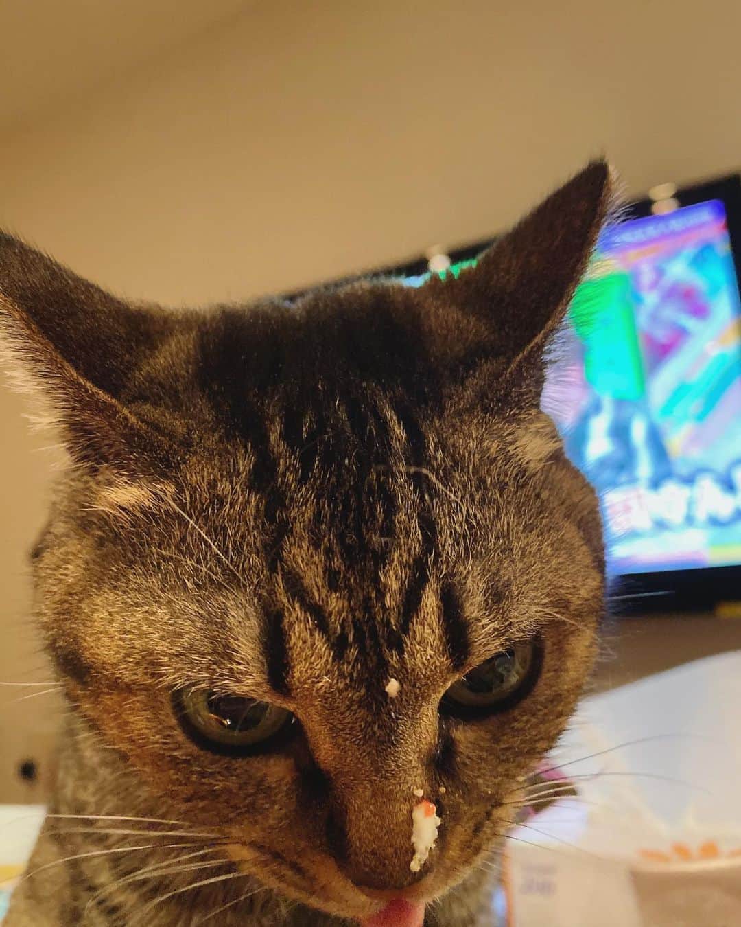 DJ mariennuのインスタグラム：「Merry chrismas🐈🎄 🎂👅」