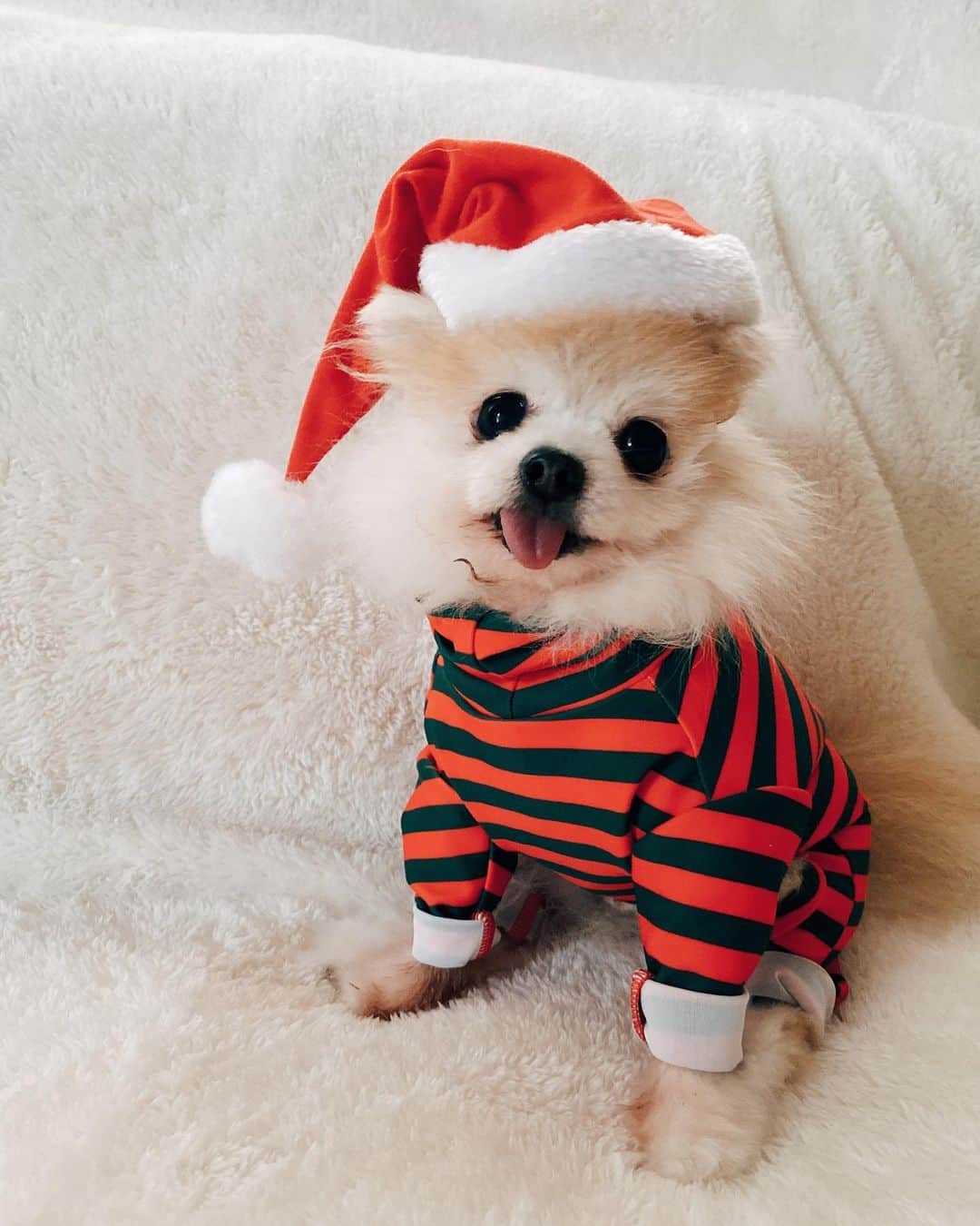 r_oseのインスタグラム：「Merry Christmas 🐰🎄🎅🏼〰️」