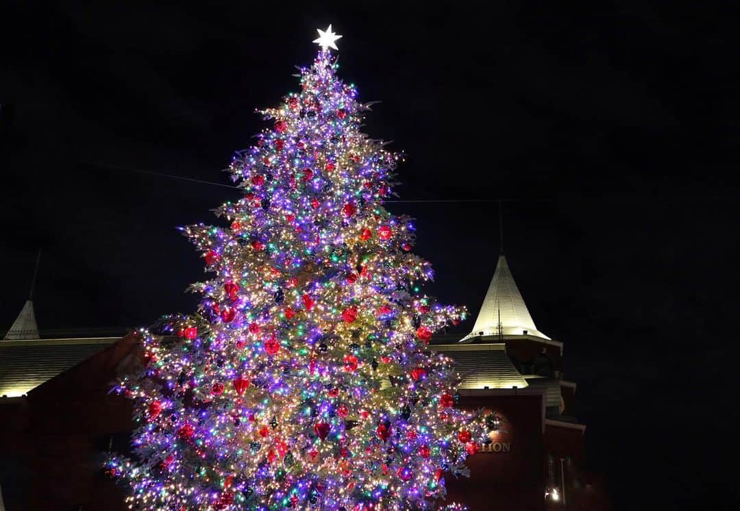 ドーキンズ英里奈さんのインスタグラム写真 - (ドーキンズ英里奈Instagram)「Merry Christmas 🎄✨ ⠀ ⠀ 家のクリスマスツリーは 結局、ださずに今日になっちゃったから 大きなクリスマスツリーをみてきたよ☺️笑 ⠀ ⠀ ⠀ ⠀ #クリスマス #xmas #merrychristmas  #恵比寿 #恵比寿ガーデンプレイス」12月25日 19時13分 - erinadawkins