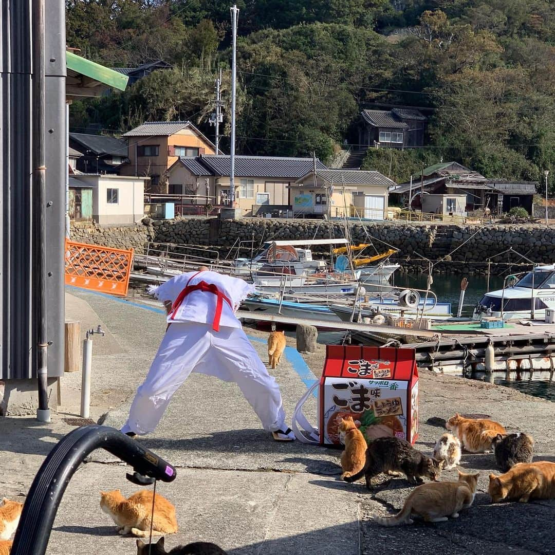 サンシャイン池崎さんのインスタグラム写真 - (サンシャイン池崎Instagram)「サッポロ一番ごま味をよろしくお願いします！！！ めちゃくちゃ美味いです！！！ #サッポロ一番 #ごま味」12月25日 19時20分 - ikezaki_yeah