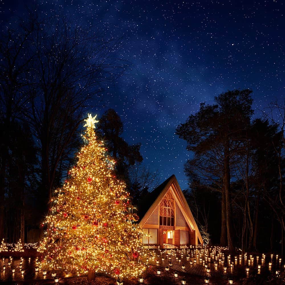 【公式】軽井沢高原教会さんのインスタグラム写真 - (【公式】軽井沢高原教会Instagram)「星降る森のクリスマス 2019  沢山の笑顔に出会うことができました。 クリスマスが、皆様にとって幸せな1日でありますように。 メリークリスマス  #軽井沢　#軽井沢高原教会　#クリスマス　#星降る森のクリスマス　#また来年　#メリークリスマス　#🎄　#12月25日」12月25日 20時11分 - karuizawa_kogenchurch