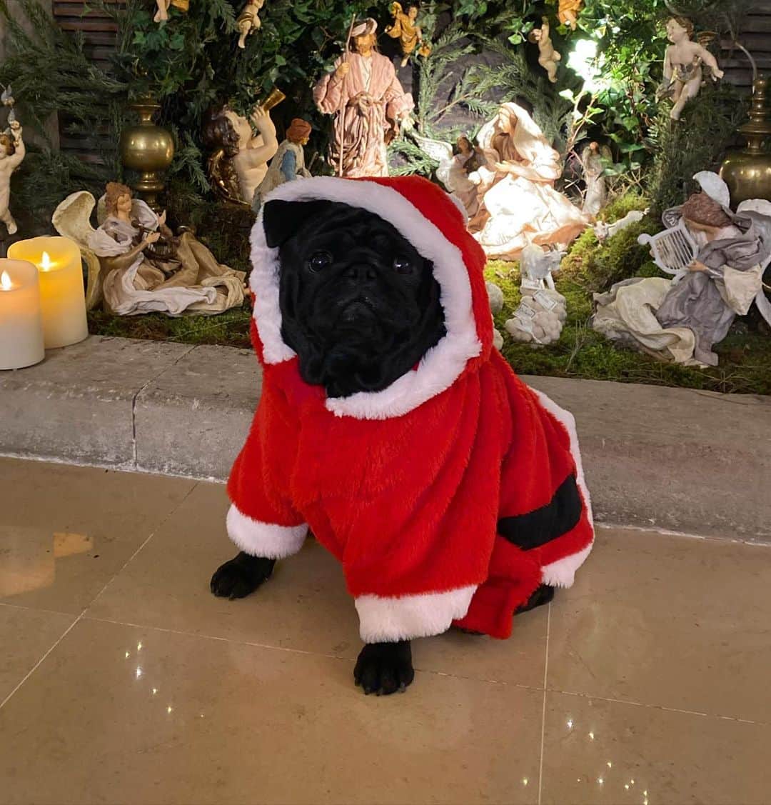 エレナ・アレジ・後藤のインスタグラム：「Happy holidays ❤️」
