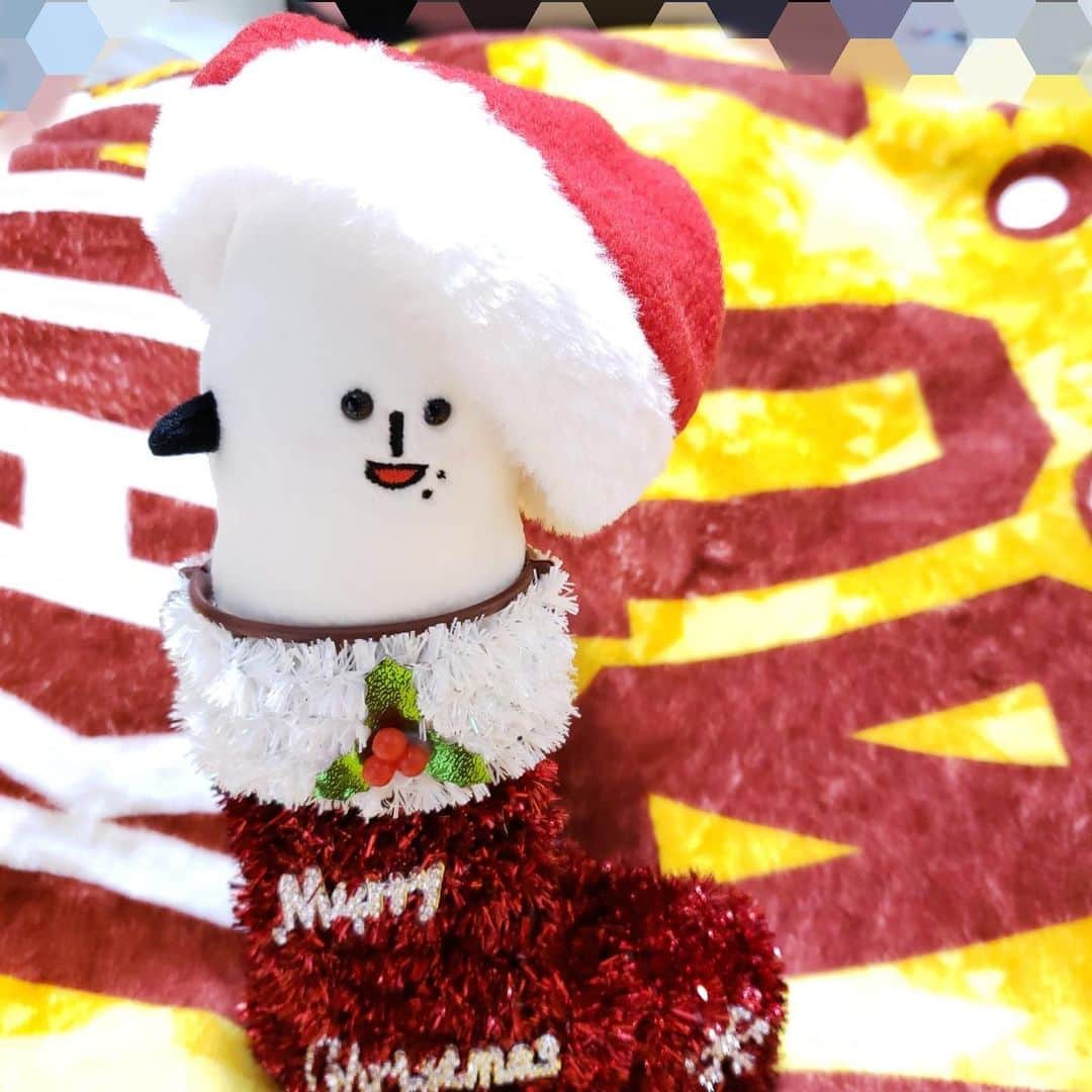 コメ助さんのインスタグラム写真 - (コメ助Instagram)「コメリークリスマス🎄🎅 ねこうさぎ産✨より頂いたヨネ✨ 本当に嬉しいヨネ😆  #クリスマスコフレ2019  #Merry Xmas #コメ助  #プレゼント」12月25日 20時22分 - komenichiwa