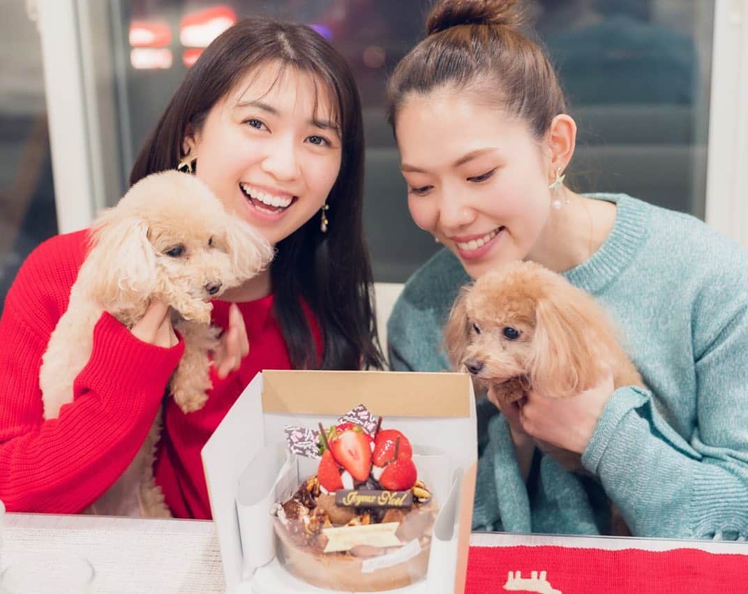 mikicoco00のインスタグラム：「* * * Merry Christmas🎄✨ * 今年もしょうちゃんと♡ たーくさん笑って楽しかった！ ケーキとプレゼントも本当にありがとう🥺💓 * あんめる🐶にはsmile eeg🥚🎁 噛むと「ブピッ」って音がなって、大好きなおもちゃ！ 家中がブピブピ鳴って、TVのいいシーンが聞こえないよ😂笑 * * * * #merrychristmas #christmastree  #christmasparty #happybirthday#thankyou #クリスマス#クリスマスケーキ #クリスマスパーティー #サンタ#クリスマスツリー #チキンの香草焼き #ブルスケッタ #smileeeg #あんめる#dog」
