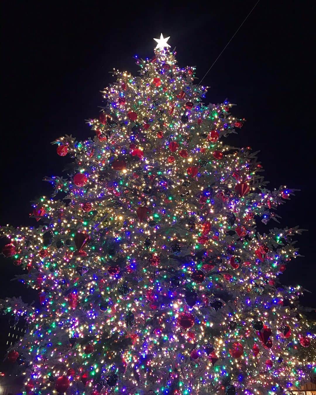 後藤夕貴のインスタグラム：「ㅤ ㅤ 🎄❤︎ #MerryChristmas」