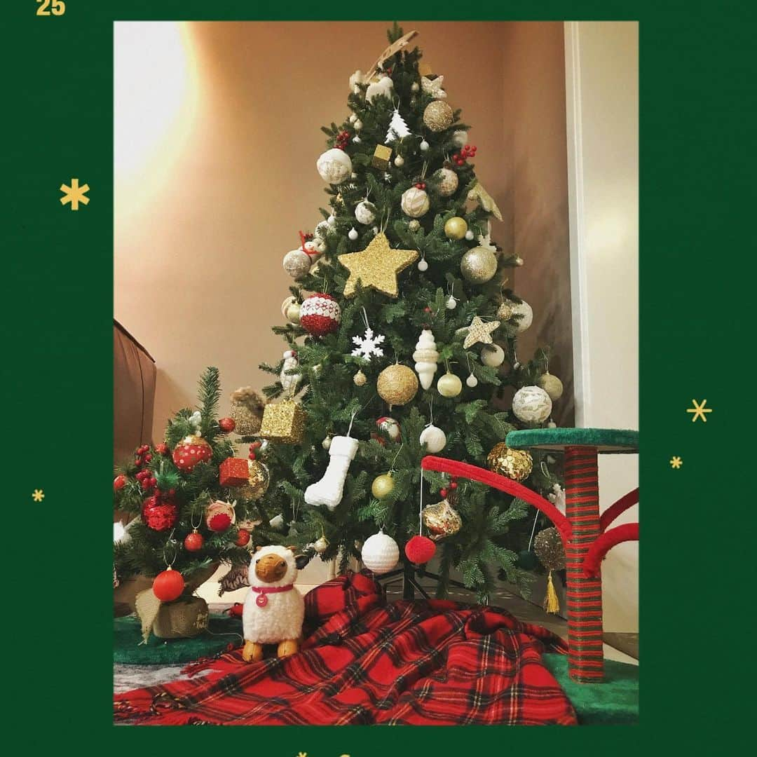 フェイ さんのインスタグラム写真 - (フェイ Instagram)「Merry Christmas 🎄🎅 #圣诞快乐 🎁」12月25日 20時54分 - ff0427