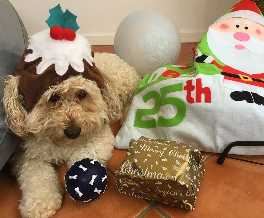 シャーニ・ヴィンソンのインスタグラム：「Merry Christmas to all and to all a good night 🎄🎁 🎅🏼」
