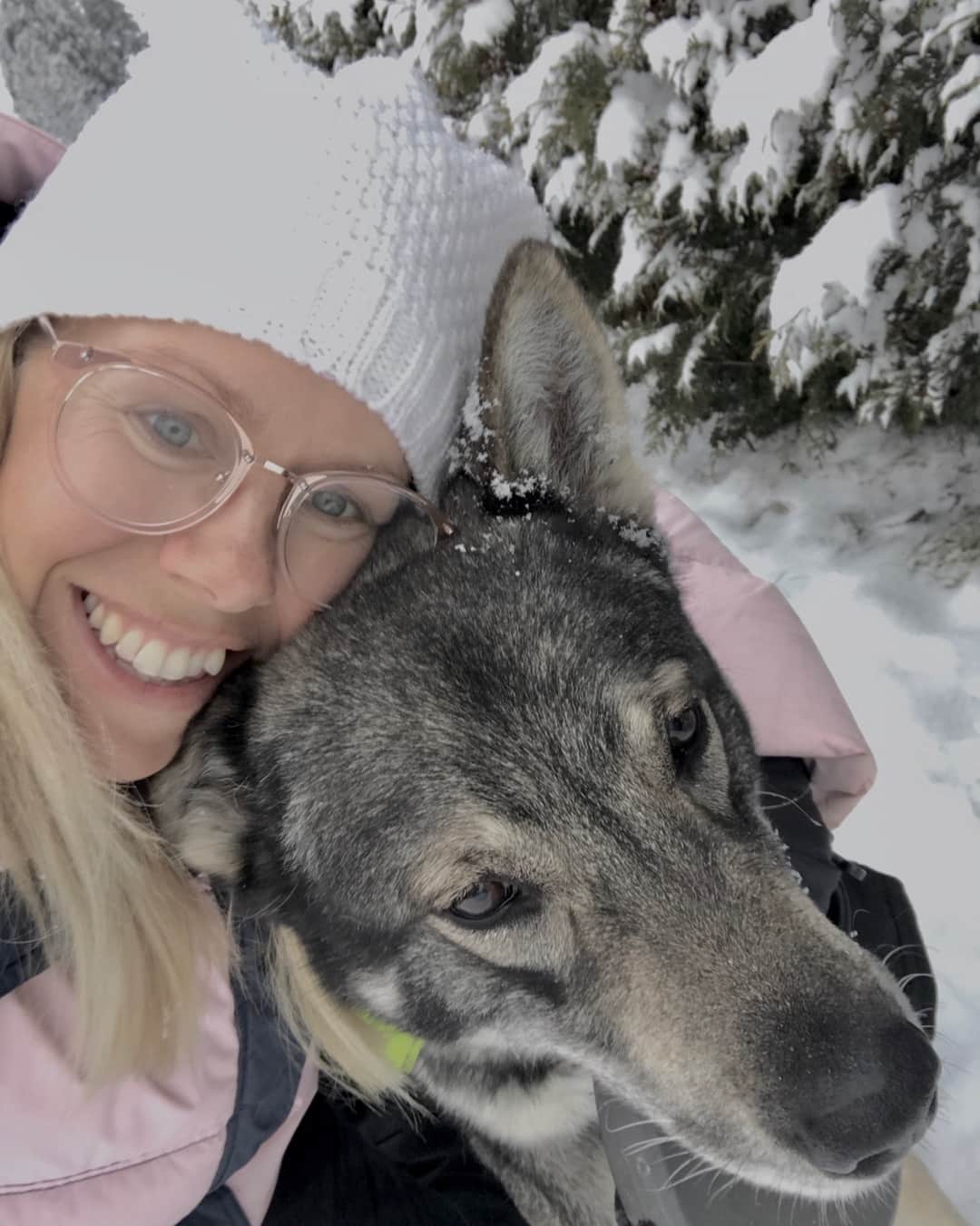 Pernilla Lindbergさんのインスタグラム写真 - (Pernilla LindbergInstagram)「White Christmas!🤗🌲👌🏻❄️⛄️🐾⠀ ⠀ ⠀ ⠀ #whitechristmas  #snowdog  #swedishchristmas」12月25日 21時07分 - pernillagolf