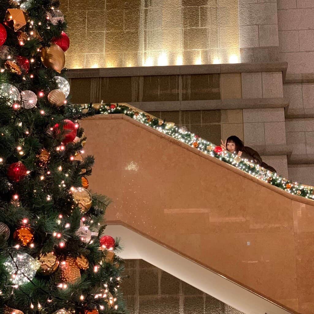 Manitasのインスタグラム：「めりめりのくりくり〜〜 #merrychristmas」