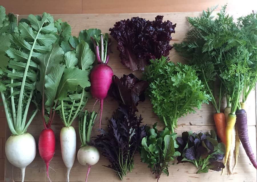 cafezakkagallery-flagのグルメインスタ