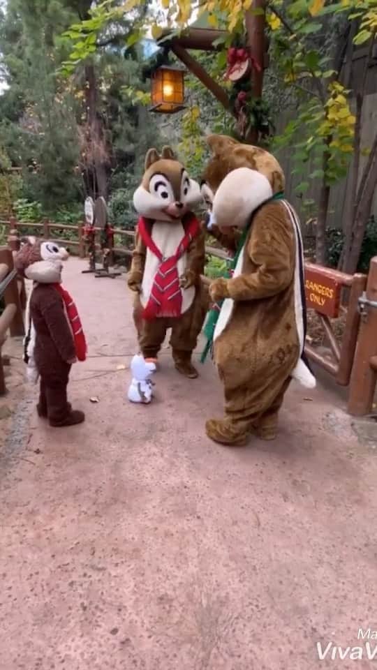tiahy__のインスタグラム：「. . .  Chip and Dale!Thank you for playing with my son. . . . オラフで遊んでくれたり、かくれんぼしてくれたり、たくさん遊んでくれて本当にありがとう♡. . . @kanalovesmickey さんが素敵な場所を教えてくださったおかげです！本当にありがとうございます♡ . . .  May all your Christmas wishes come true!🐿🐿🐿. . . . . ChipとDaleらしいChristmas songと共に♪ . . . Thank you so much Chip and Dale and @kanalovesmickey !. . #chip_taia#disneyland#disneychristmas #taia_birthday #birthday #californiaadventure #chipanddale #taiacostume」