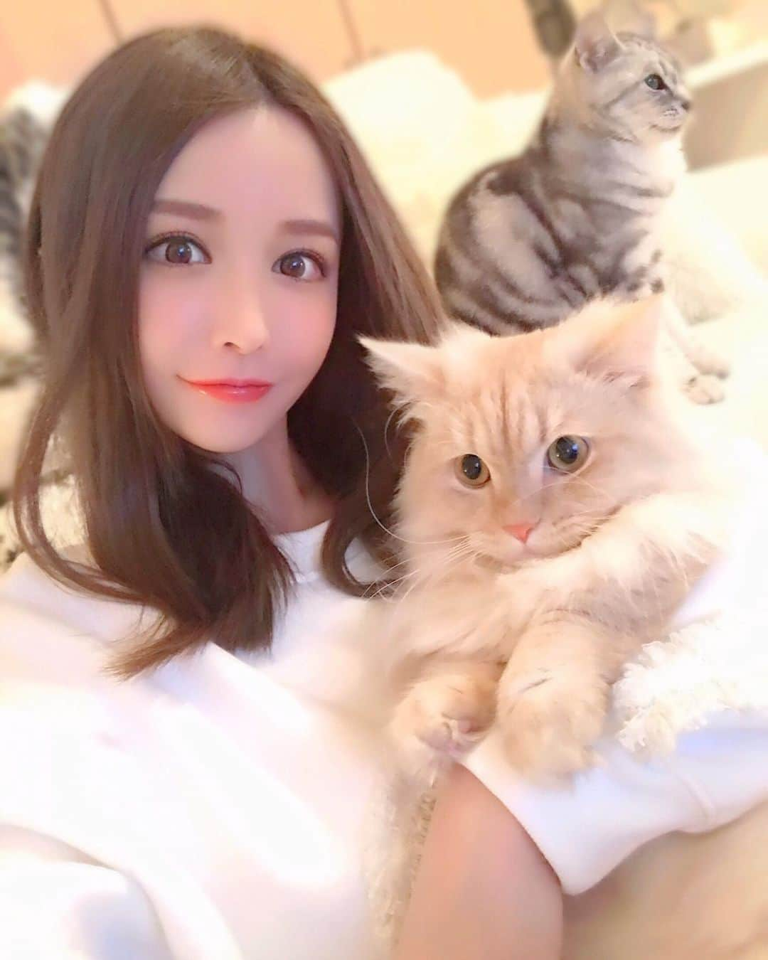 吉見衣世さんのインスタグラム写真 - (吉見衣世Instagram)「ねこ様達と過ごすクリスマス🧸 (ソラ君のヒゲ長っ！笑) ・ ・ トナカイも置いておきます🎄🦌 ・ ・ ・ ・ #猫#トナカイ#トナカイコス#クリスマス#xmas#merrychristmas」12月25日 21時42分 - iyori_nu