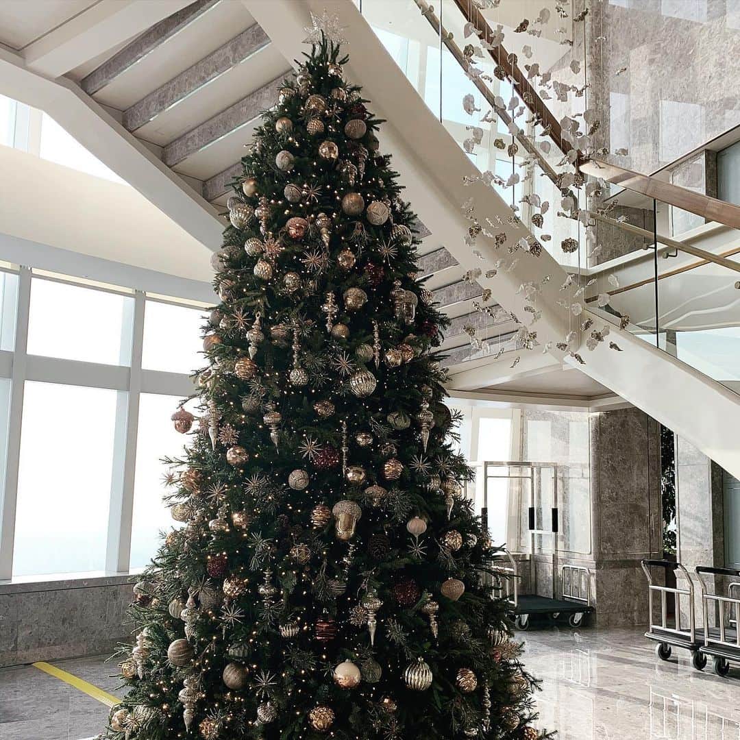原涼香のインスタグラム：「메리 크리스마스🎄💓 素敵な夜をお過ごしください~( ◠‿◠ )ㅎㅎ ㅤㅤㅤㅤㅤㅤㅤㅤㅤㅤㅤㅤㅤ」