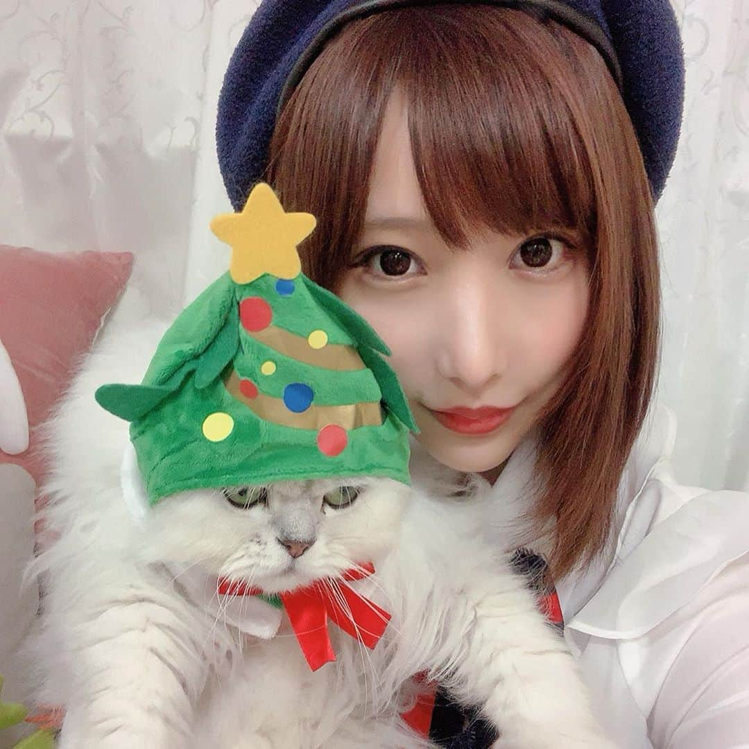 花咲来夢さんのインスタグラム写真 - (花咲来夢Instagram)「めりくり🎅🏻🎄（もうクリスマス終わる） シャルちゃん世界一可愛い😻❤️ .  #ねこのかぶりもの #ツリー #cat #世界一可愛い」12月25日 21時49分 - raimu_charlotte