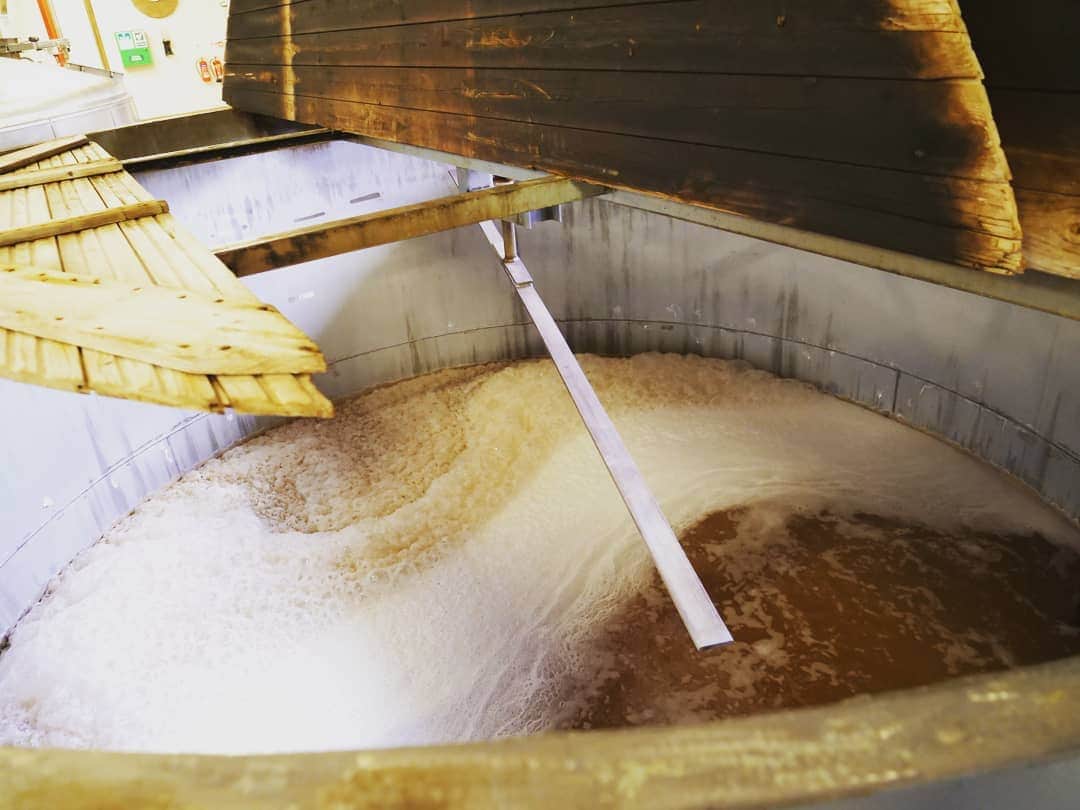 真壁伸弥さんのインスタグラム写真 - (真壁伸弥Instagram)「#glenfarclas  #whisky #distillery  #Makaway  日本では家族経営の小規模な蒸留所って説明されてるけど、実際立ち寄ると、規模は数字通り決して小さくないことがわかった。  大型スティルは年300万リットルの生産力。 納得。」12月25日 22時13分 - makaberian5