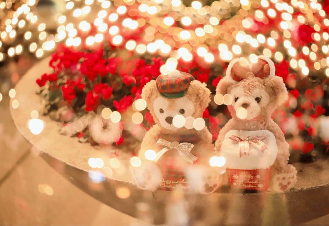木南清香さんのインスタグラム写真 - (木南清香Instagram)「🧸 Merry Christmas 🧸 ・ ・ クリスマスバージョン🧸🎁🎄 #ダッフィ #シェリーメイ ・ #🎄 #可愛すぎる❤️ #tokyodisneysea」12月25日 22時20分 - kinami_sayaka