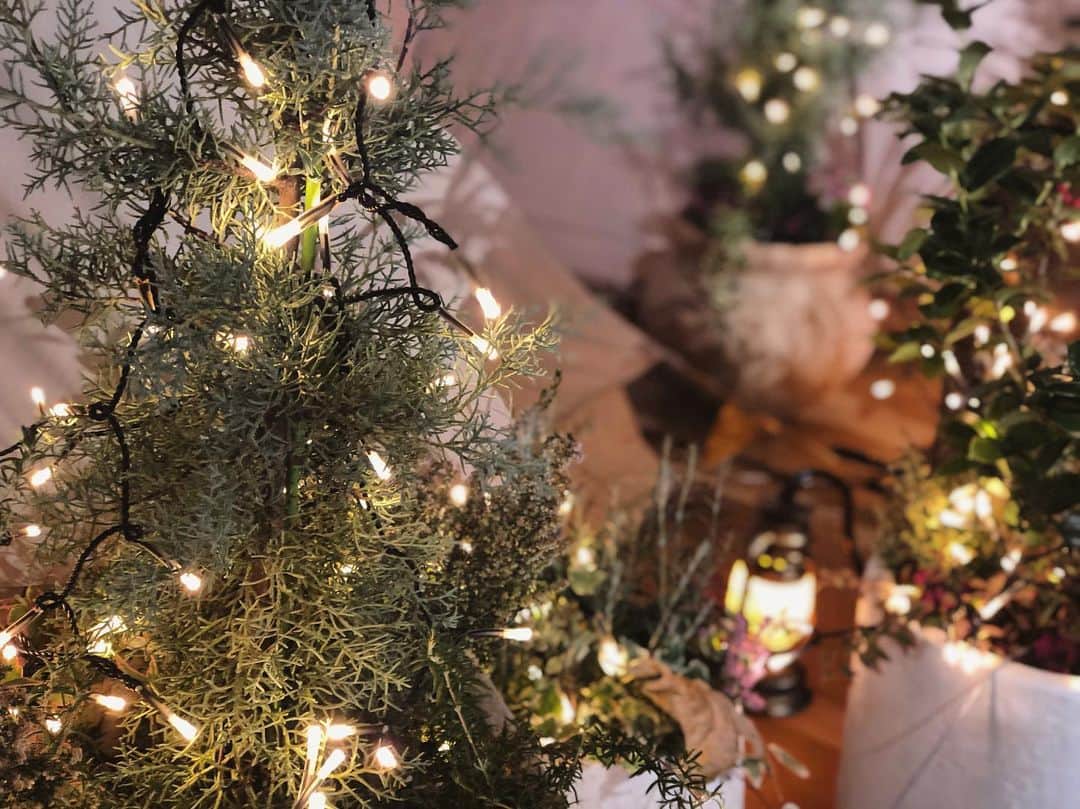 平塚日菜さんのインスタグラム写真 - (平塚日菜Instagram)「Merry Xmas✨  イルミネーションをメンバーで見に行けたし、 今日はメンバーとリハ中にケーキを食べました✨🍰 素敵なクリスマス過ごせたかな？  #merrychristmas  #merryxmas  #クリスマス」12月25日 22時22分 - hiratsukahina