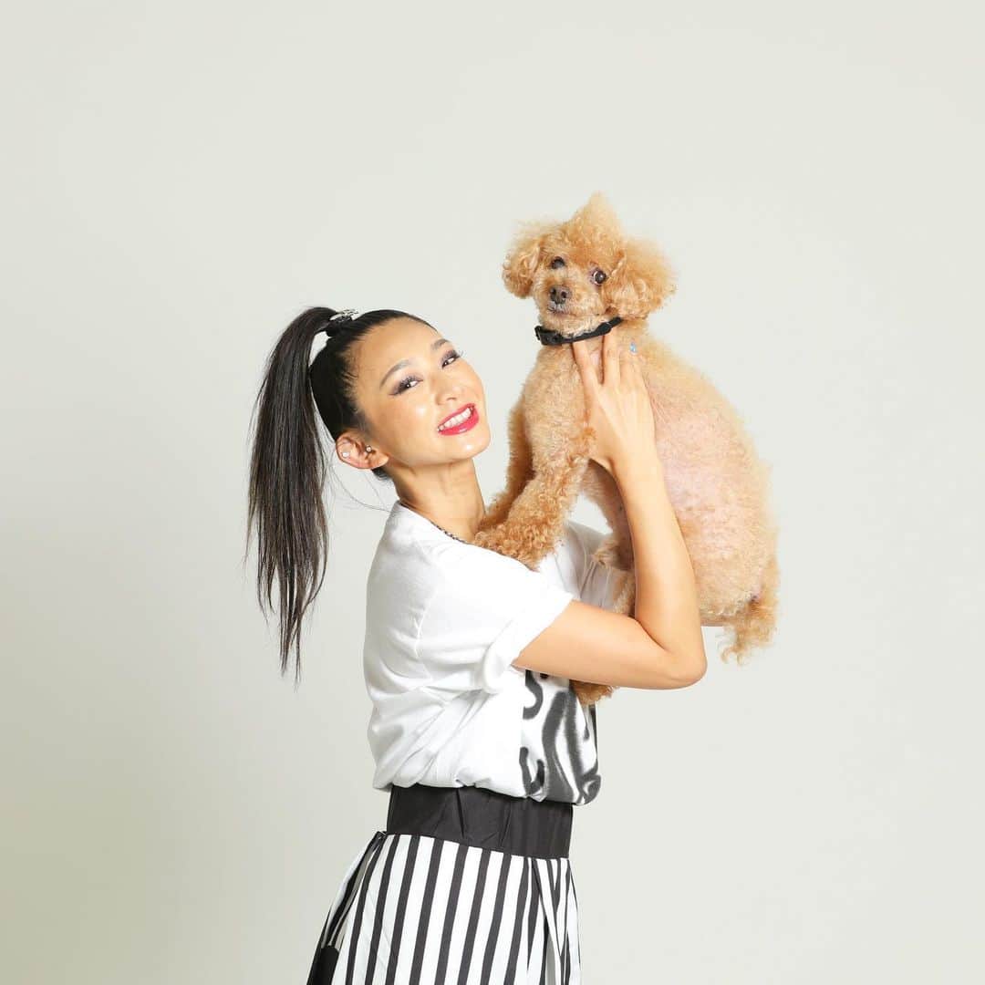 DJ JUICYのインスタグラム：「一生続きます💁🏻‍♀️📸 JUICYくんシリーズ🐩💙 なんとも言えない表情して😆 目が可愛いんだよな...😍 #dog#toypoodle#instadog#juicy#juicykun#photo#dogstagram#toypoodlelife#トイプードル13歳#ホントは人間」