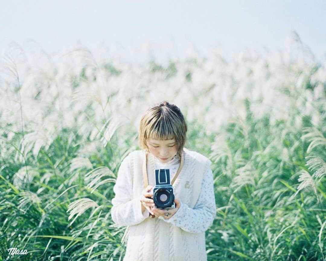 のインスタグラム：「. . . ハッセルはついつい構えてもらいたくなるカメラ📷 . まだ年賀状も買ってないし、今ようやくインクを注文した😅 最近、クーポンとかキャッシュバックだらけでどこが一番安いか、なかなか判断できない😅 . 撮影日 : 2019年11月2日 . #まさ35 #ヤマプリ #35mm #nikonfm2 #instagramjapan #igersjp #tokyocameraclub #art_of_japan_ #photogenic_jp #GPW_members_only #good_portraits_world #film_jp #film #フィルム #film_com #filmcamera #filmphotography #portrait #ポートレート #photogram_archive #todays_blue_collection #pof_ig #hibi_jp #team_jp_ #青空 #岐阜 #gifu #ススキ #hasselblad #ハッセルブラッド」