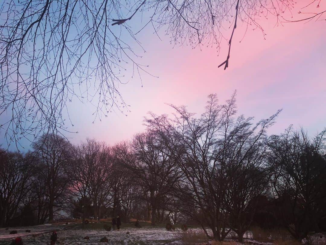 小泉麻耶さんのインスタグラム写真 - (小泉麻耶Instagram)「Merry Christmas to you 🎄🎁✨ From Boston Belmont. It was gorgeous sunset 😻💗 #merrychristmas #boston」12月26日 8時04分 - mayakoizumi