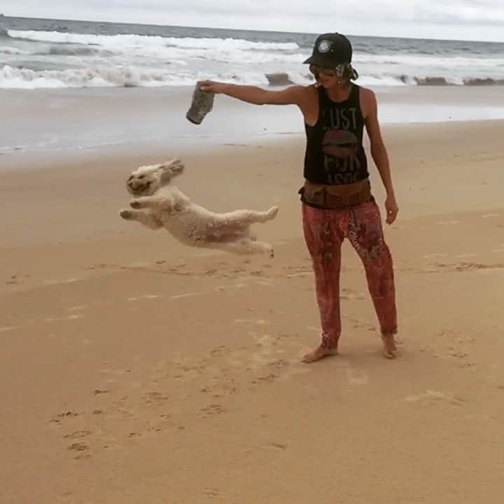 シャーニ・ヴィンソンのインスタグラム：「#ChristmasDay at the #beach with my boy @jaggerpoo 🎄🐕 🌊❣️」