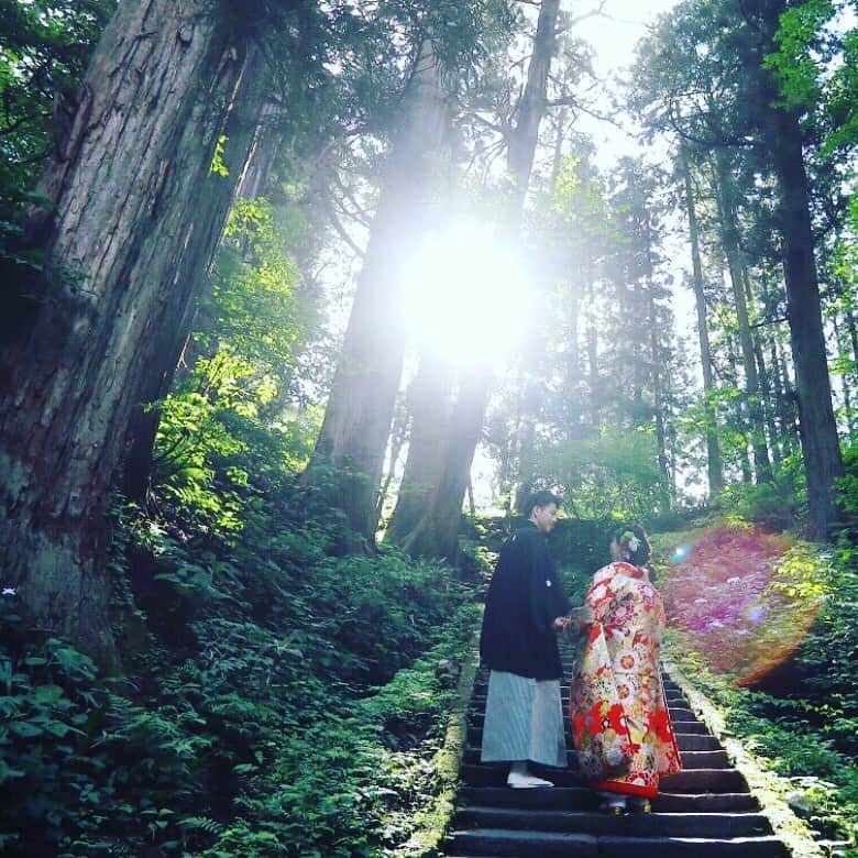 TAKAMI BRIDAL 神社和婚のインスタグラム：「大切な人生の節目を本格神前挙式で迎えてみませんか？ 都内にお住まいの皆様へ、TAKAMI BRIDAL AOYAMAにて各神社の挙式プランや式場説明、和装試着体験をさせていただきます。 ⁂ ⁂ 【神社婚相談会開催のお知らせ】 DATE：1/11（土）・1/12（日）・1/18（土）・1/19（日） TIME：10:30/12:30/15:00/17/00 PLACE：TAKAMI BRIDAL AOYAMA ※完全予約制 ------------------------------------------- お問い合わせ窓口 TAKAMI BRIDAL AOYAMA TEL:03-3498-2222 MAIL:aoyama@takami-bridal.com ------------------------------------------- ⁂  #結婚式#神前式#和婚#神社婚#神社#神社巡り #和装#着物#白無垢#色打掛#紋付袴 #式場見学#式場探し#日本中のプレ花嫁さんと繋がりたい#プレ花嫁 #タカミブライダル#TAKAMIBRIDAL#takamibridal #前撮り#2020春婚#2020夏婚#2020秋婚#2020冬婚 #神話婚#富士のくに和婚#三河神前挙式#尾張名古屋神前挙式#みちのく和婚#やまがたの花嫁#都姫婚」