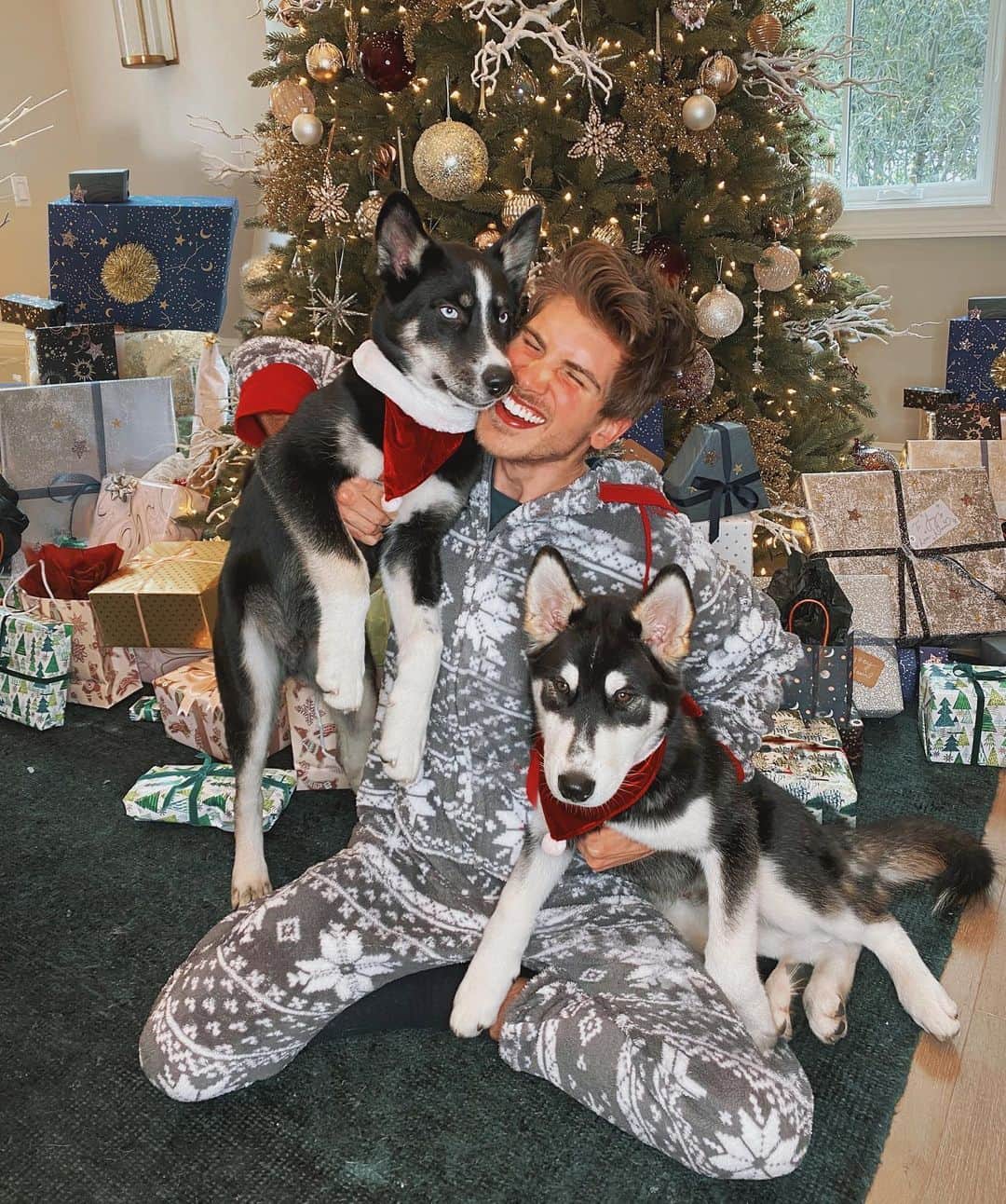 ジョーイ・グレーセッファのインスタグラム：「Merry Christmas from my furry family to yours! 🎄🐺🐺♥️ What’s you’re favorite gift Santa got you? 🎅🏼」