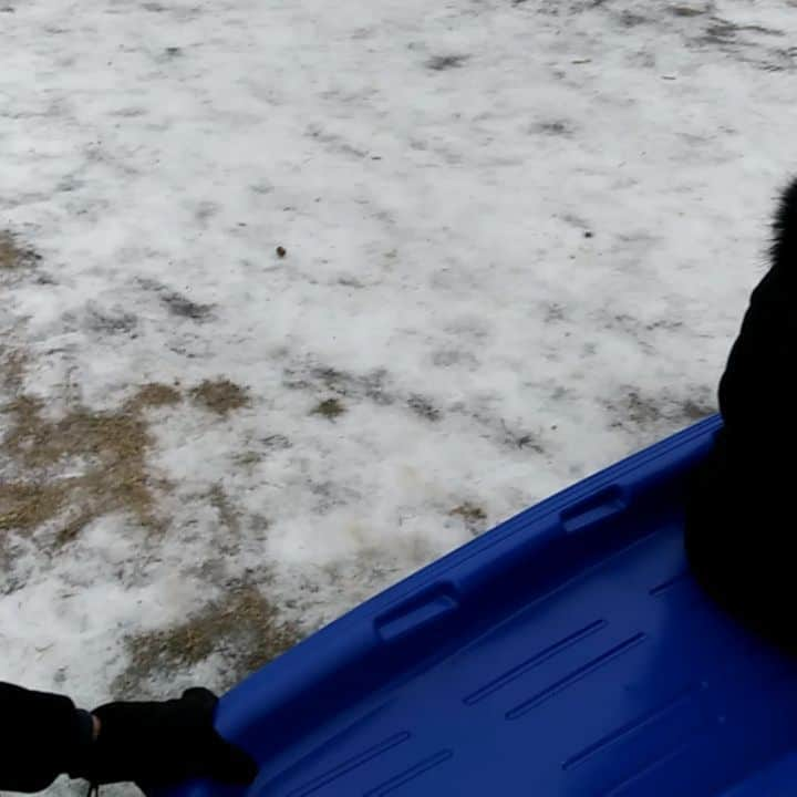 ニコラ・ナドゥーのインスタグラム：「Christmas Sledding! Just enought snow/ice ratio to have fun! (but not enough to soften the falls...)」