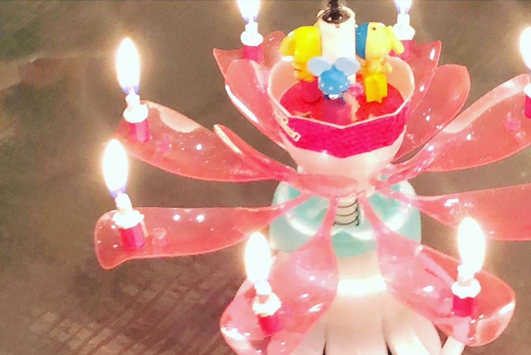 涼紫央さんのインスタグラム写真 - (涼紫央Instagram)「クリスマスは イヴにお友達と。 当日は家族で。 かわいいケーキ達♡」12月26日 9時06分 - toitoitoi