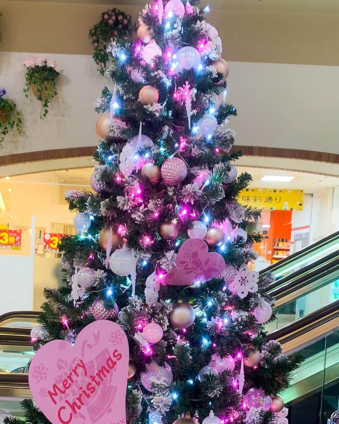 浜平恭子さんのインスタグラム写真 - (浜平恭子Instagram)「‪街中のクリスマスツリーやデコレーションは、もう片付けられてしまったかな(๑′ᴗ‵๑)ちょっぴり寂しいので、今年私が神戸で最後に見たツリーを載せるよ🎄須磨パティオのピンクのツリー✨明日から大晦日までは過ぎるのが早いだろうな💨2019年、私のKiss FM KOBE「4SEASONS」納め2日間、聴いて下さいね💖‬」12月26日 0時38分 - hamahi1231